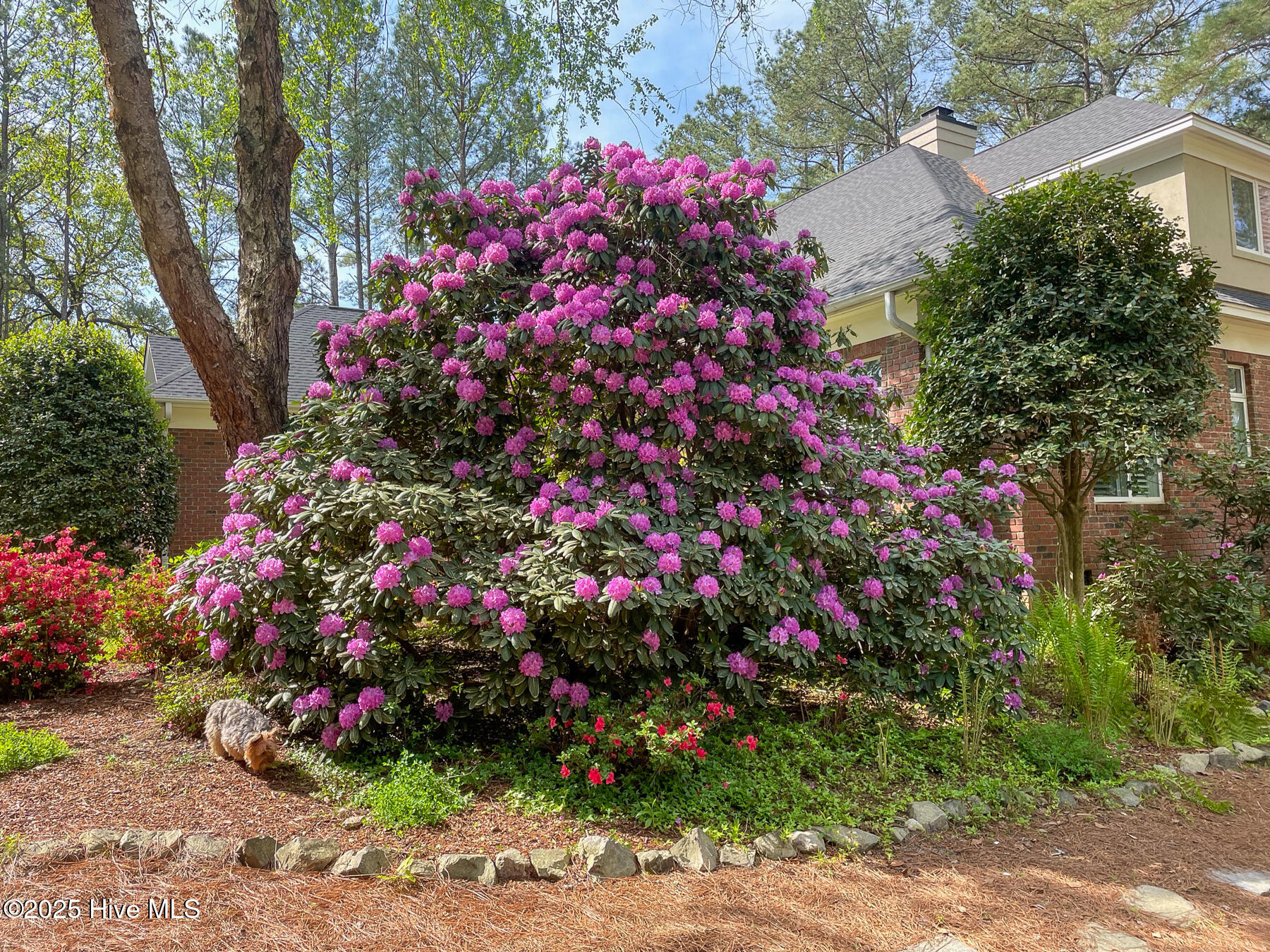 24 Mcmichael Drive