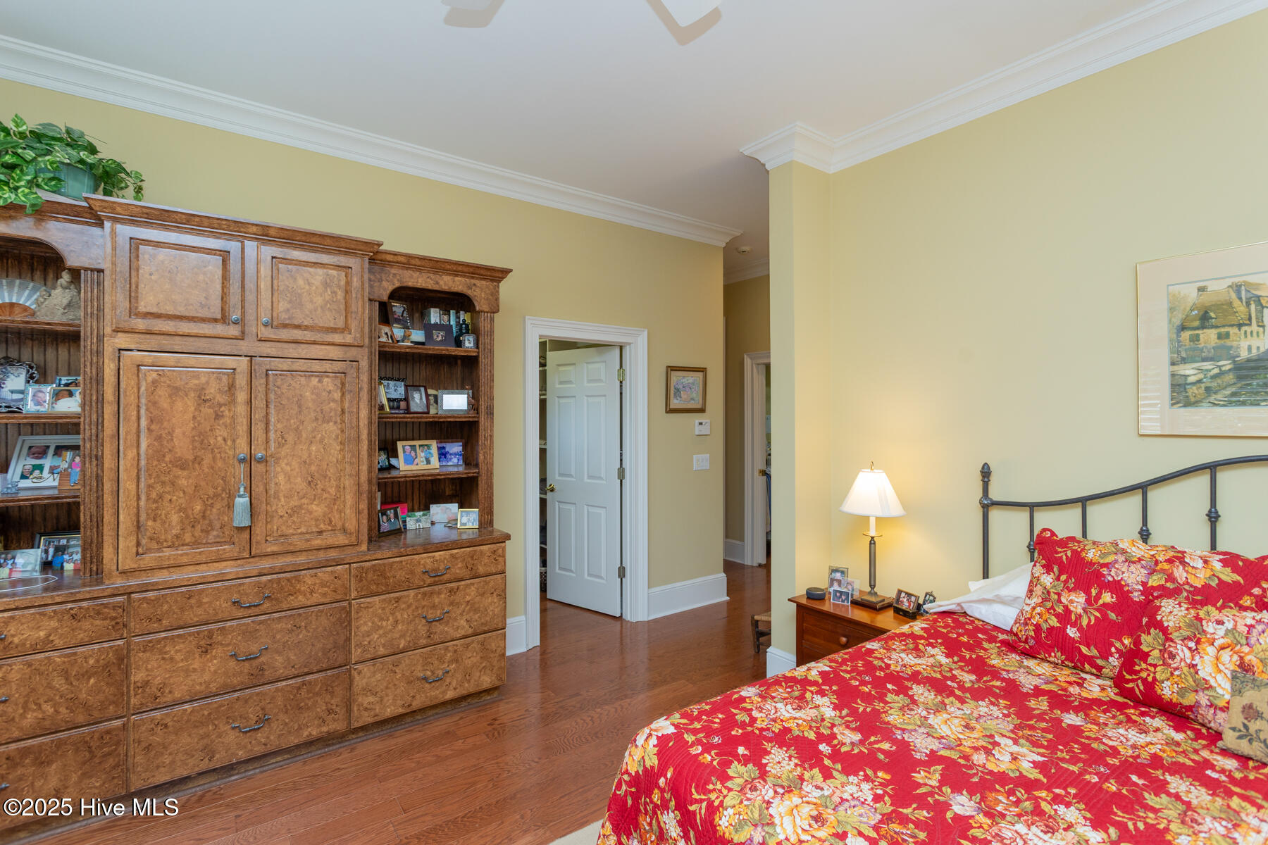 24 Mcmichael Drive