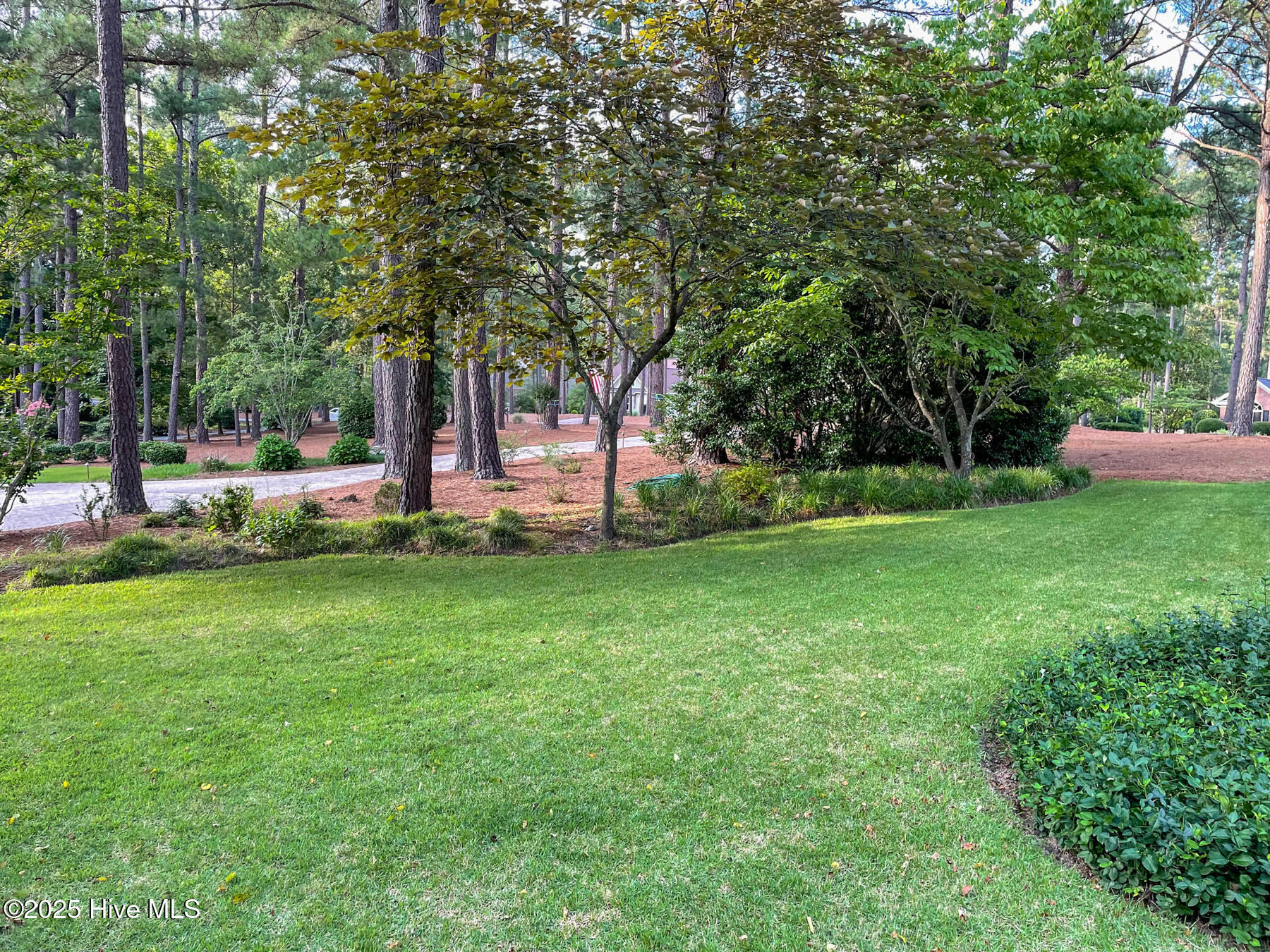 24 Mcmichael Drive