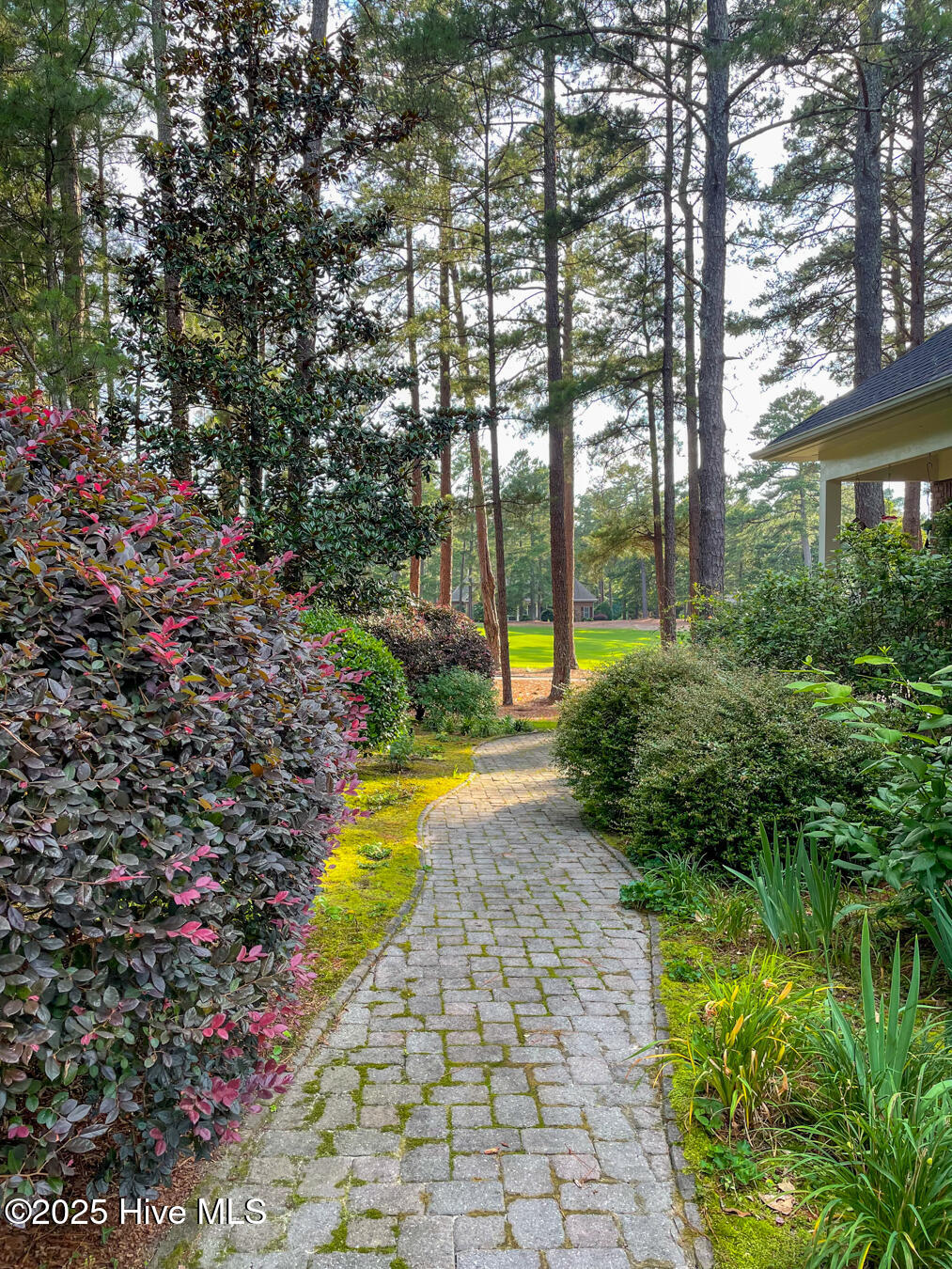 24 Mcmichael Drive