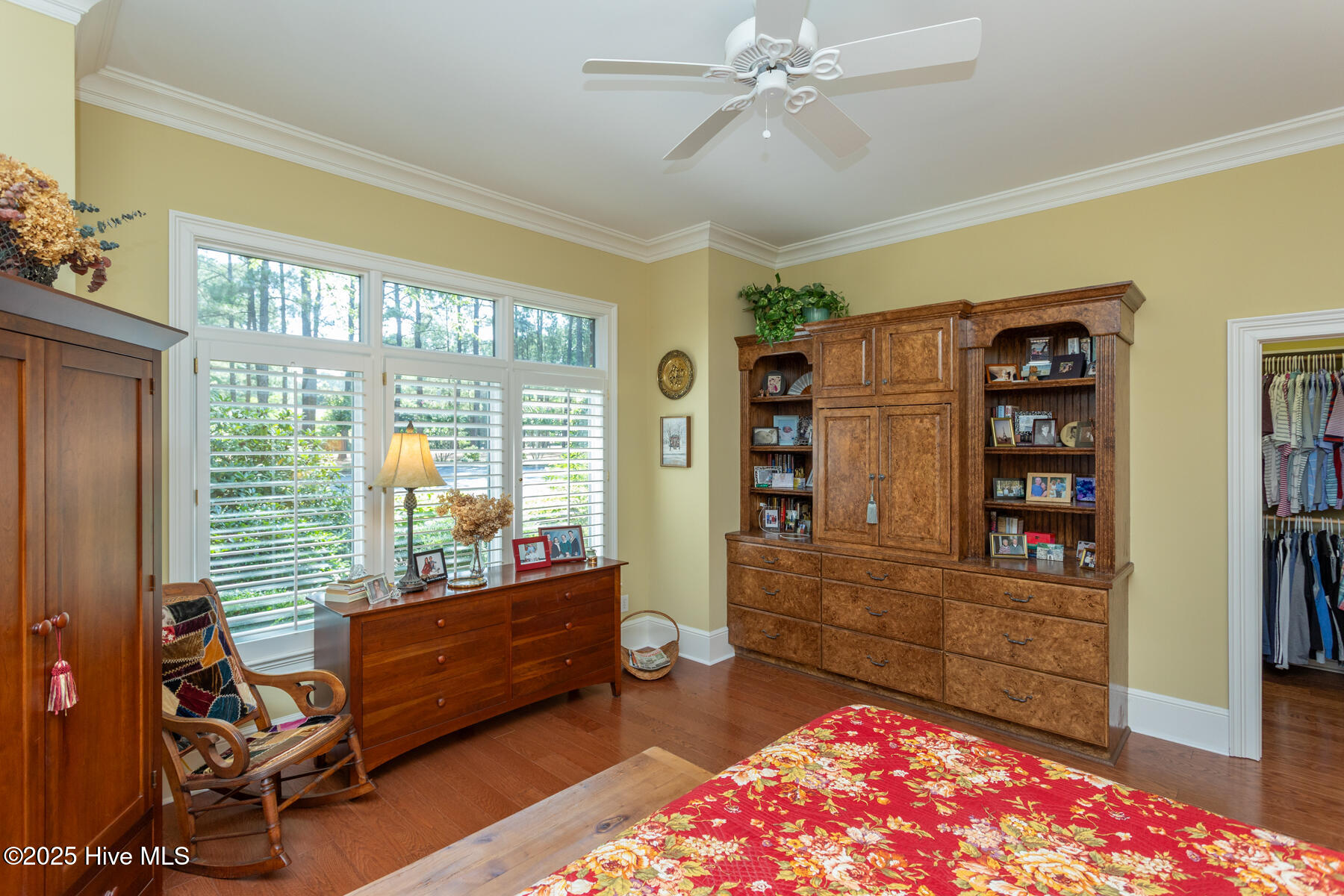 24 Mcmichael Drive