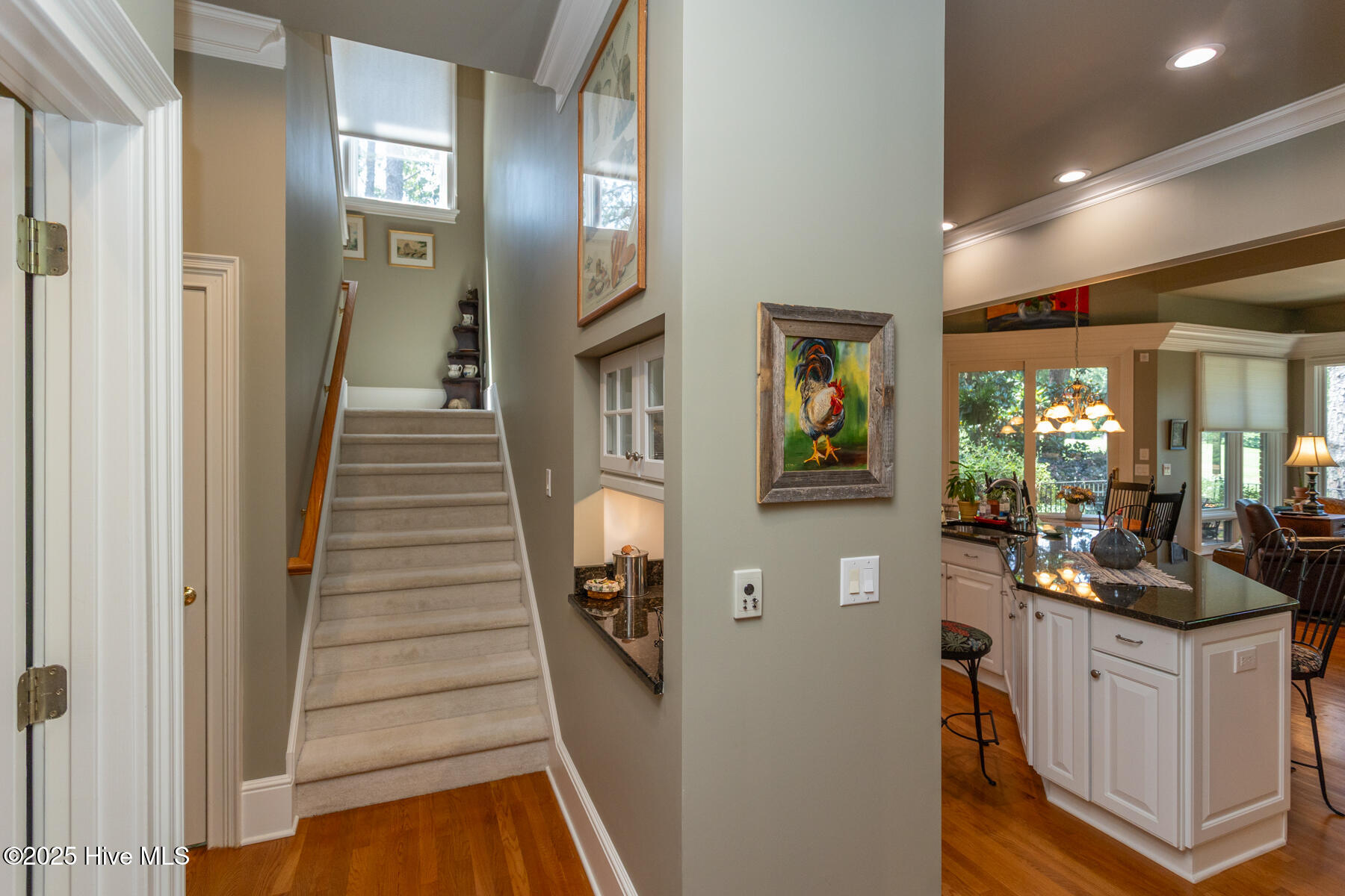 24 Mcmichael Drive