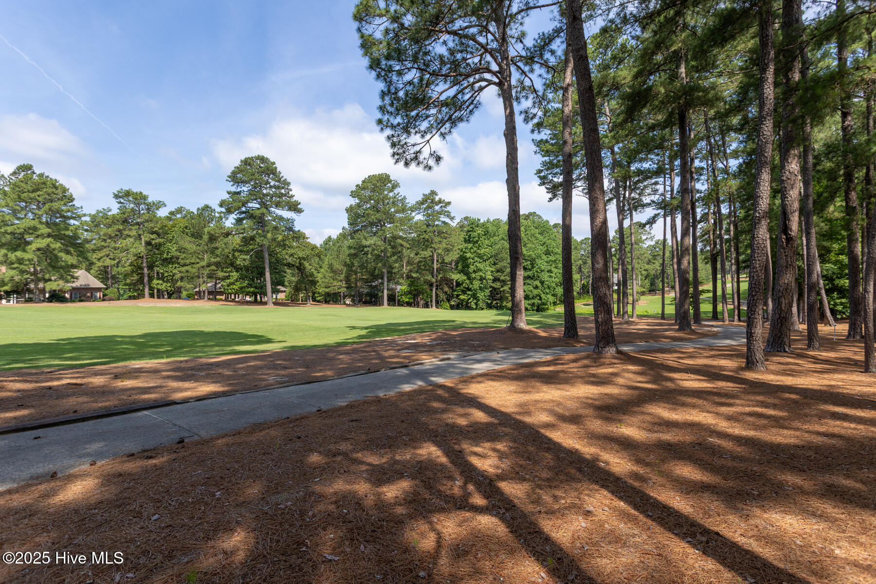 24 Mcmichael Drive