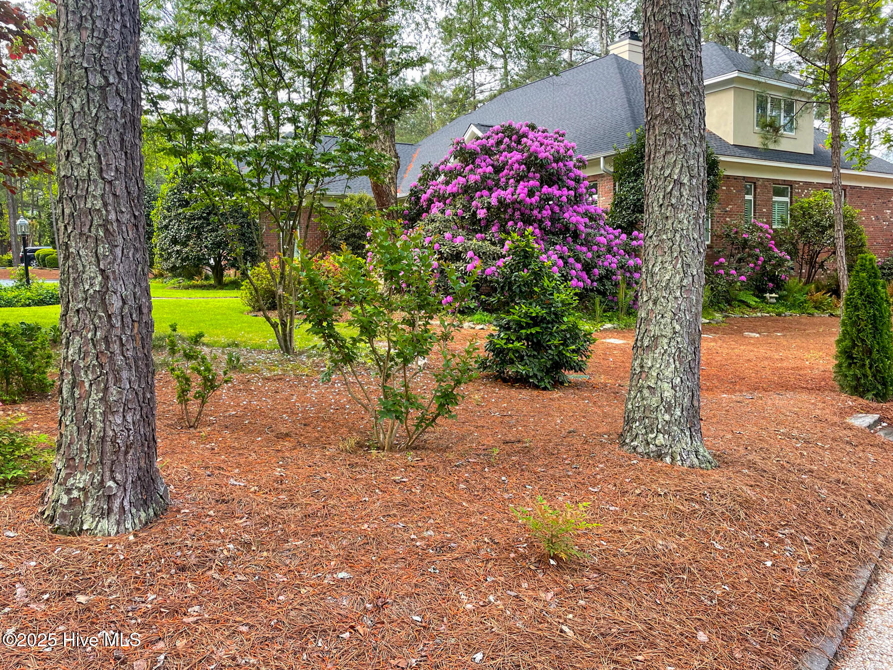 24 Mcmichael Drive