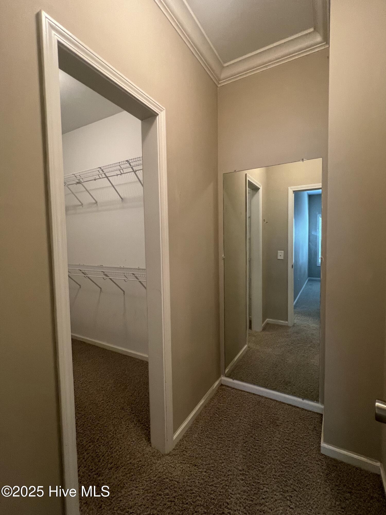 100 Kingswood Circle