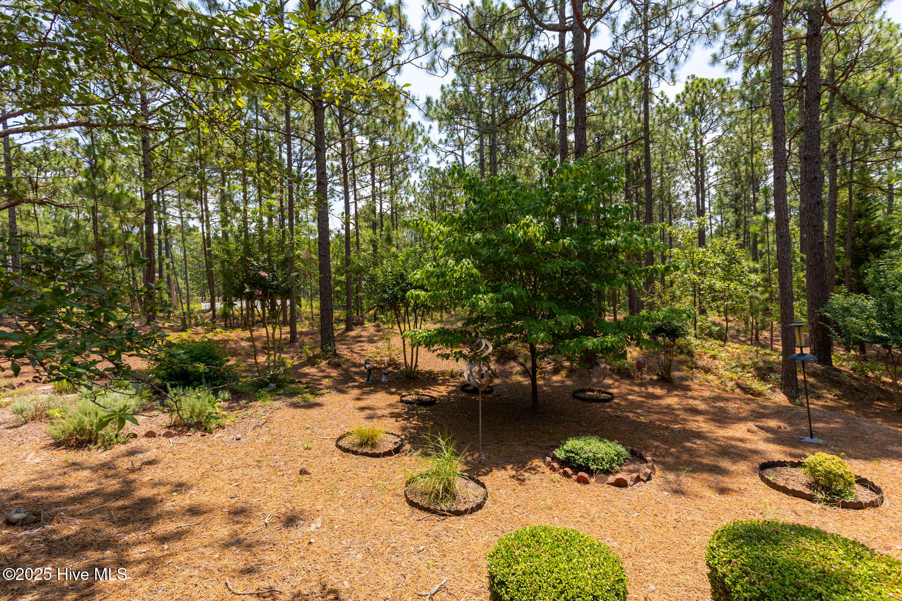 181 James Drive