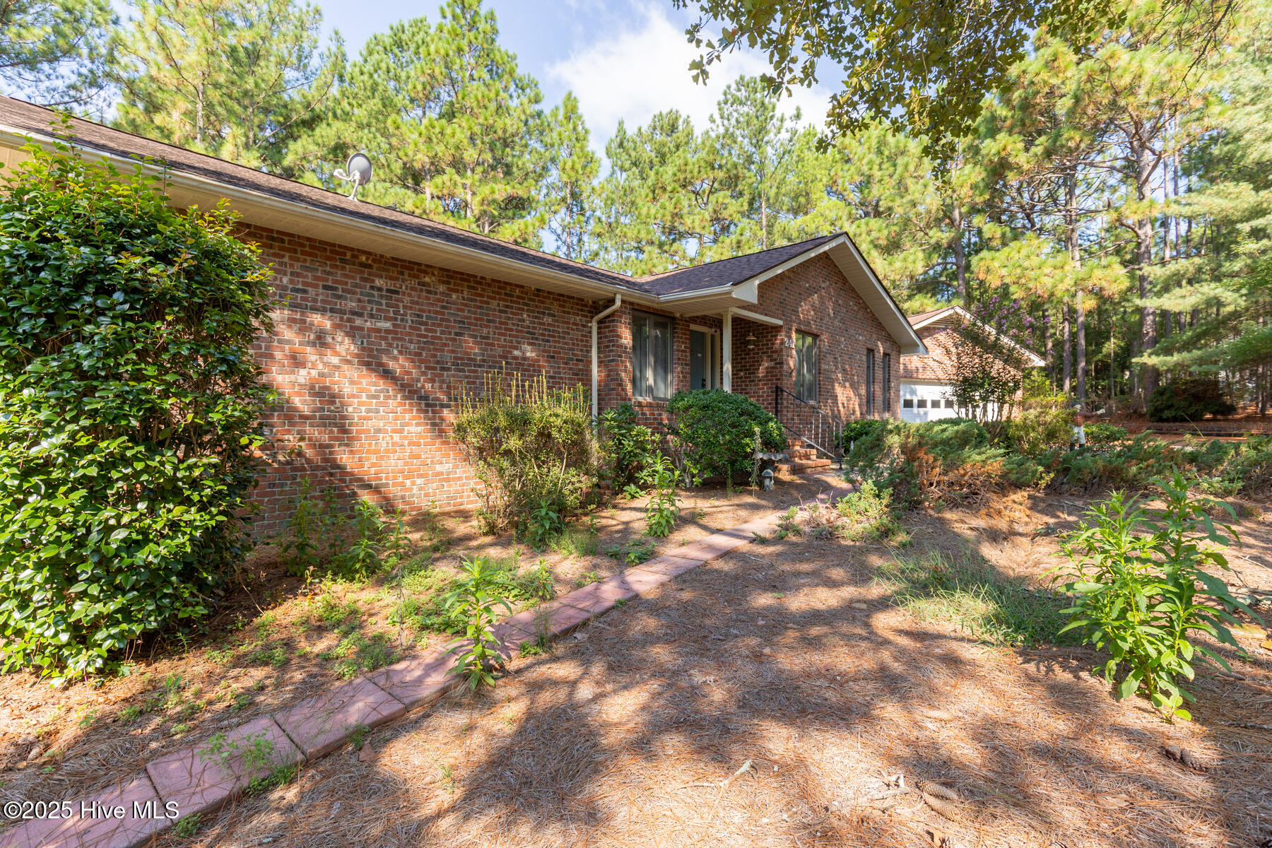 241 Firetree Lane