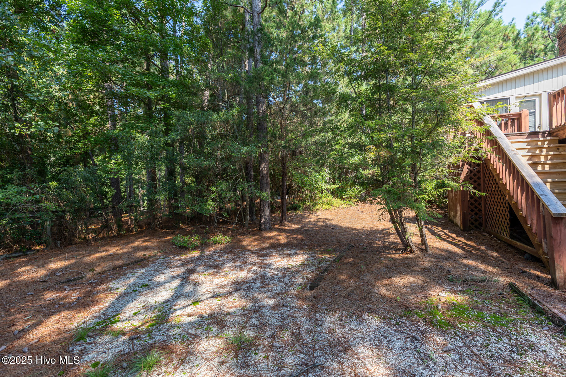 241 Firetree Lane