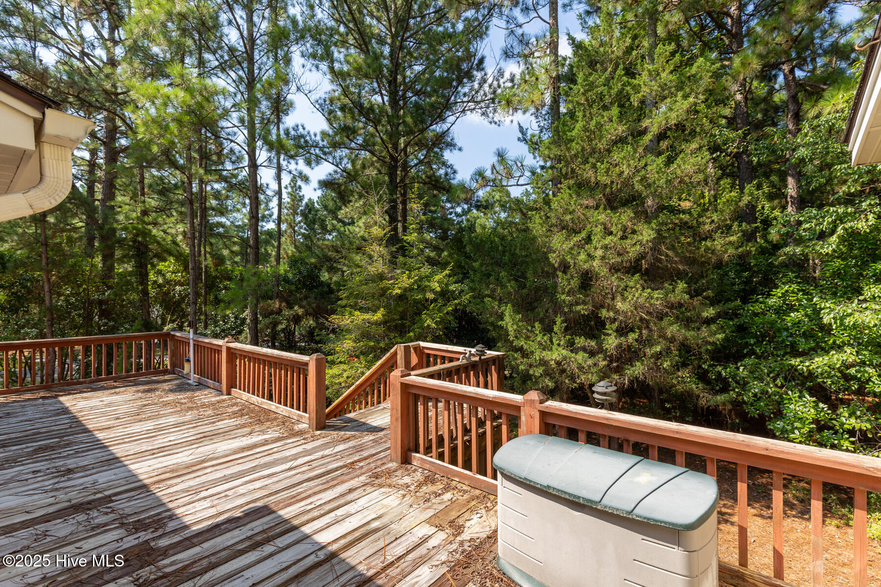 241 Firetree Lane