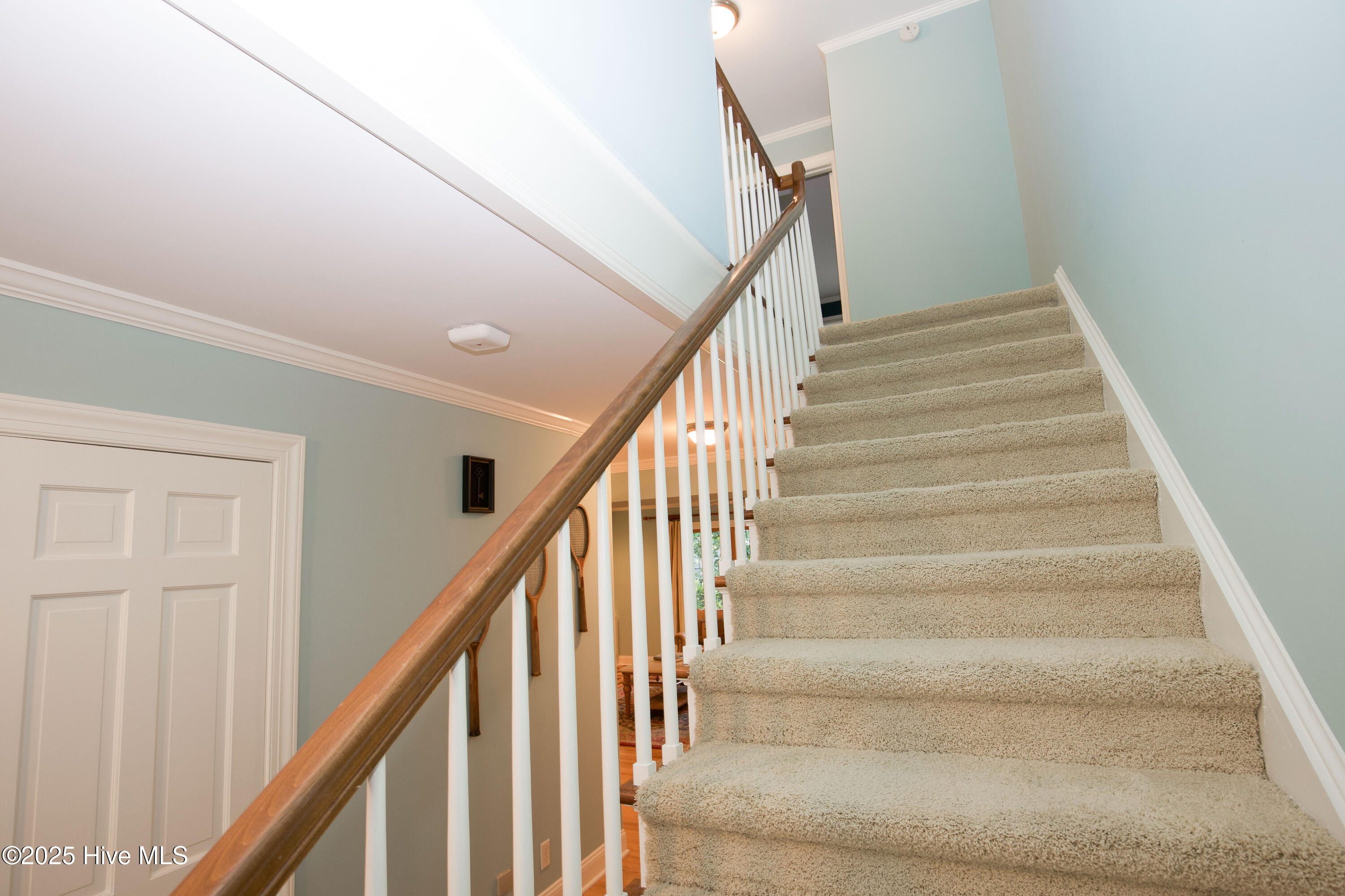 190 Palmetto Road, 14