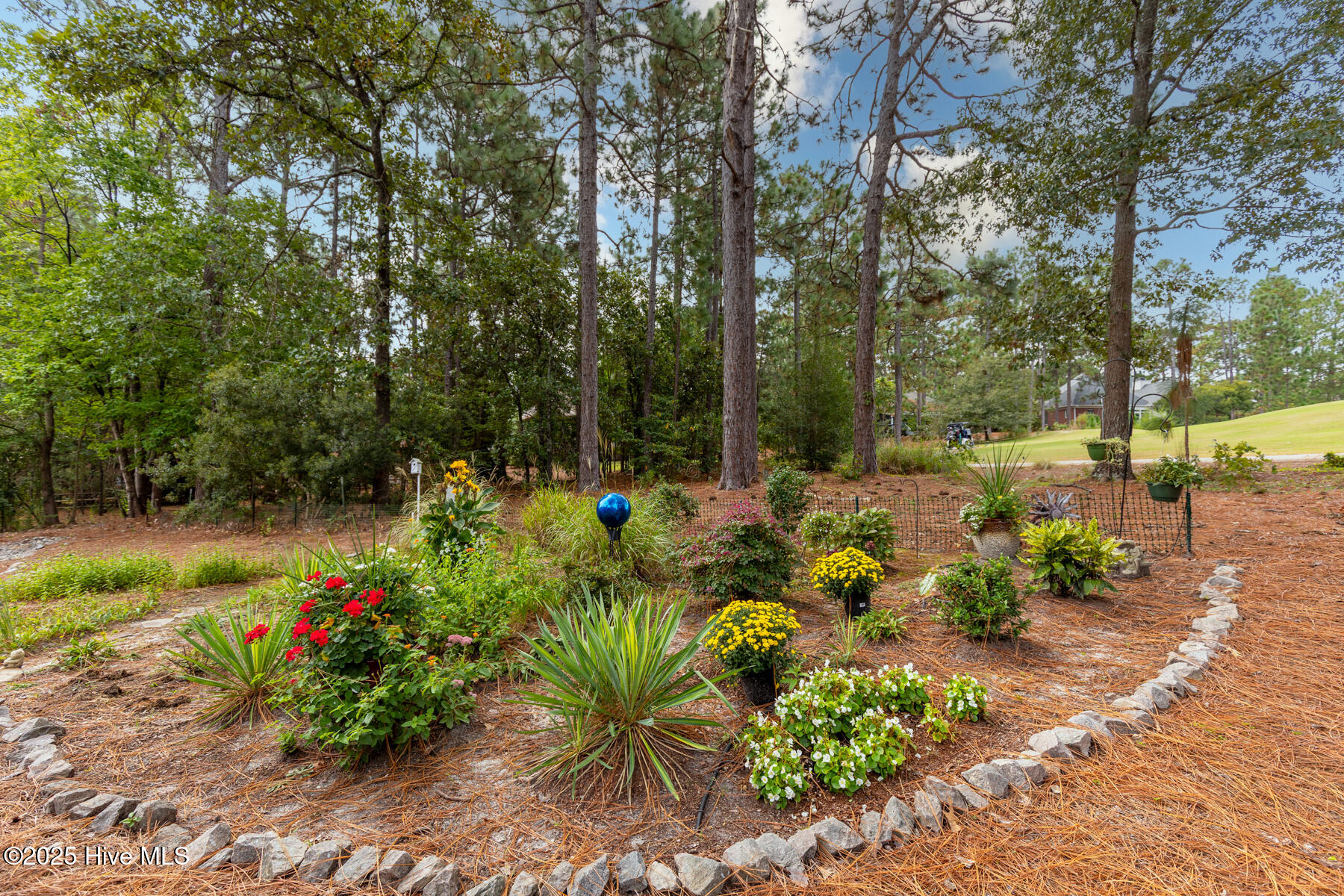 167 Hunter Trail