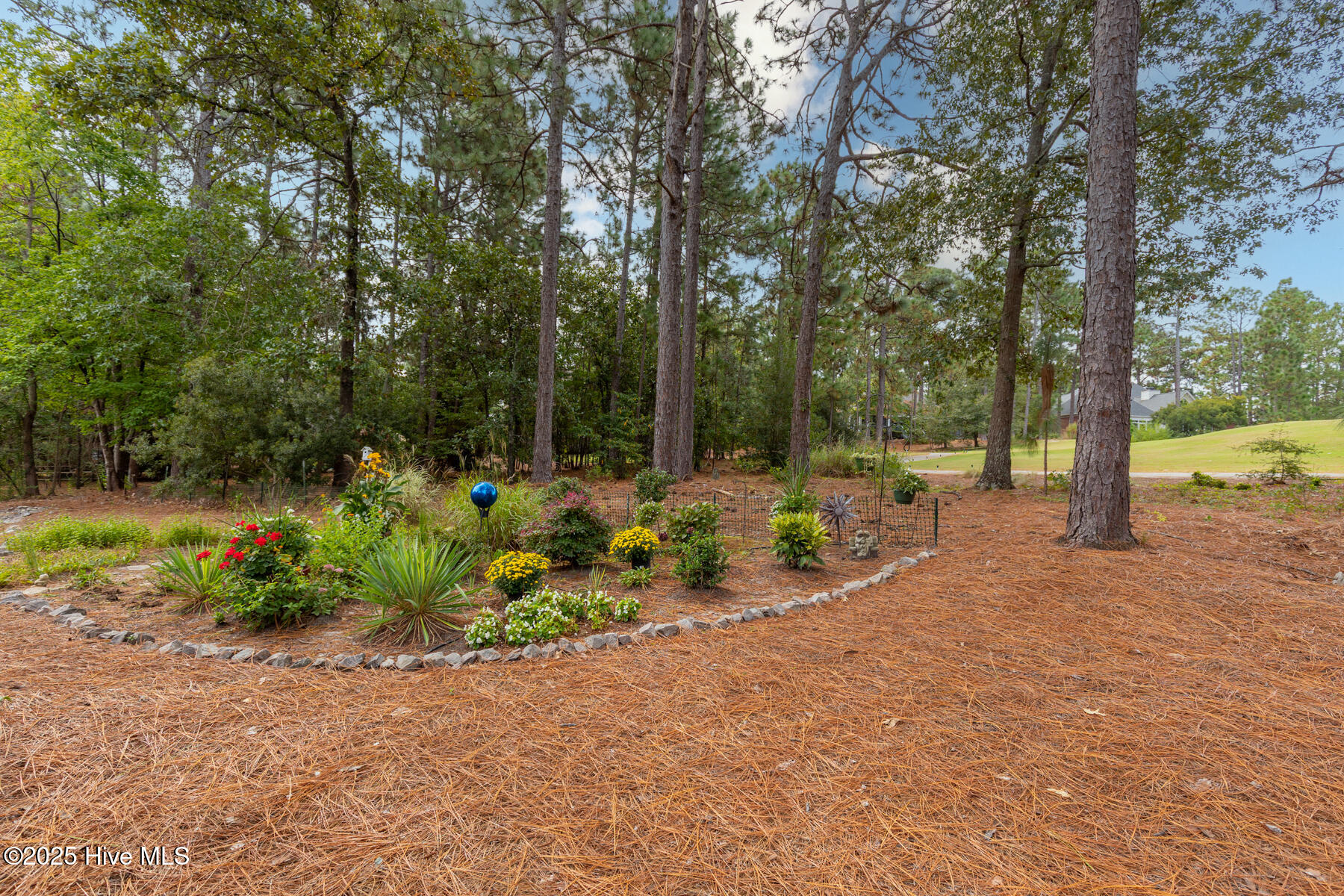 167 Hunter Trail