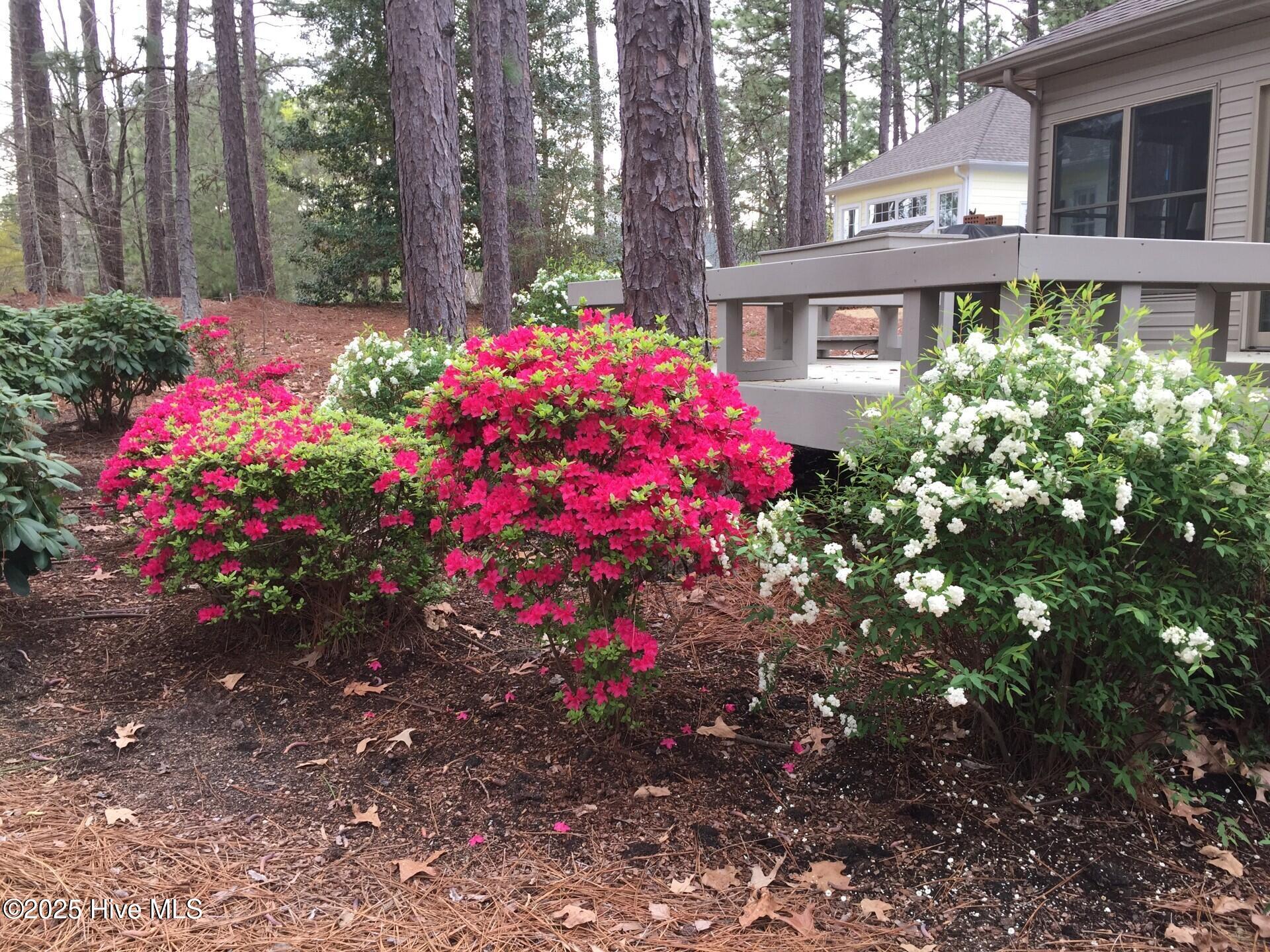 167 Hunter Trail