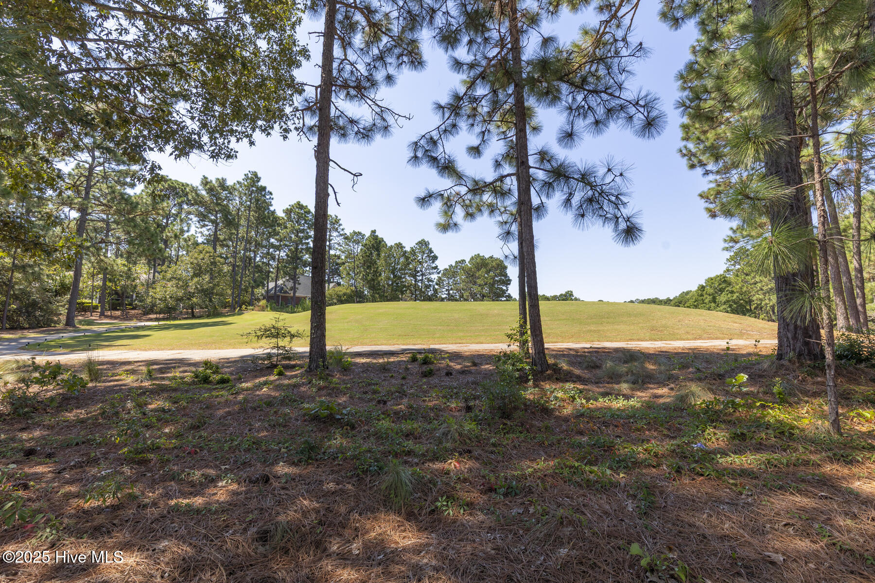 167 Hunter Trail