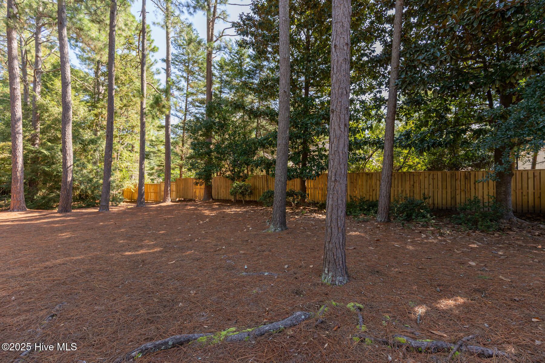 100 Saint Andrews Drive