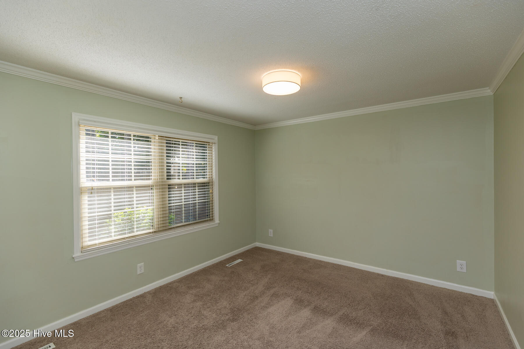 100 Saint Andrews Drive