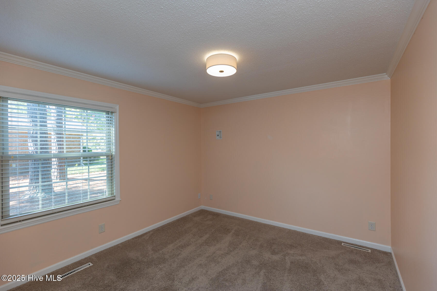 100 Saint Andrews Drive