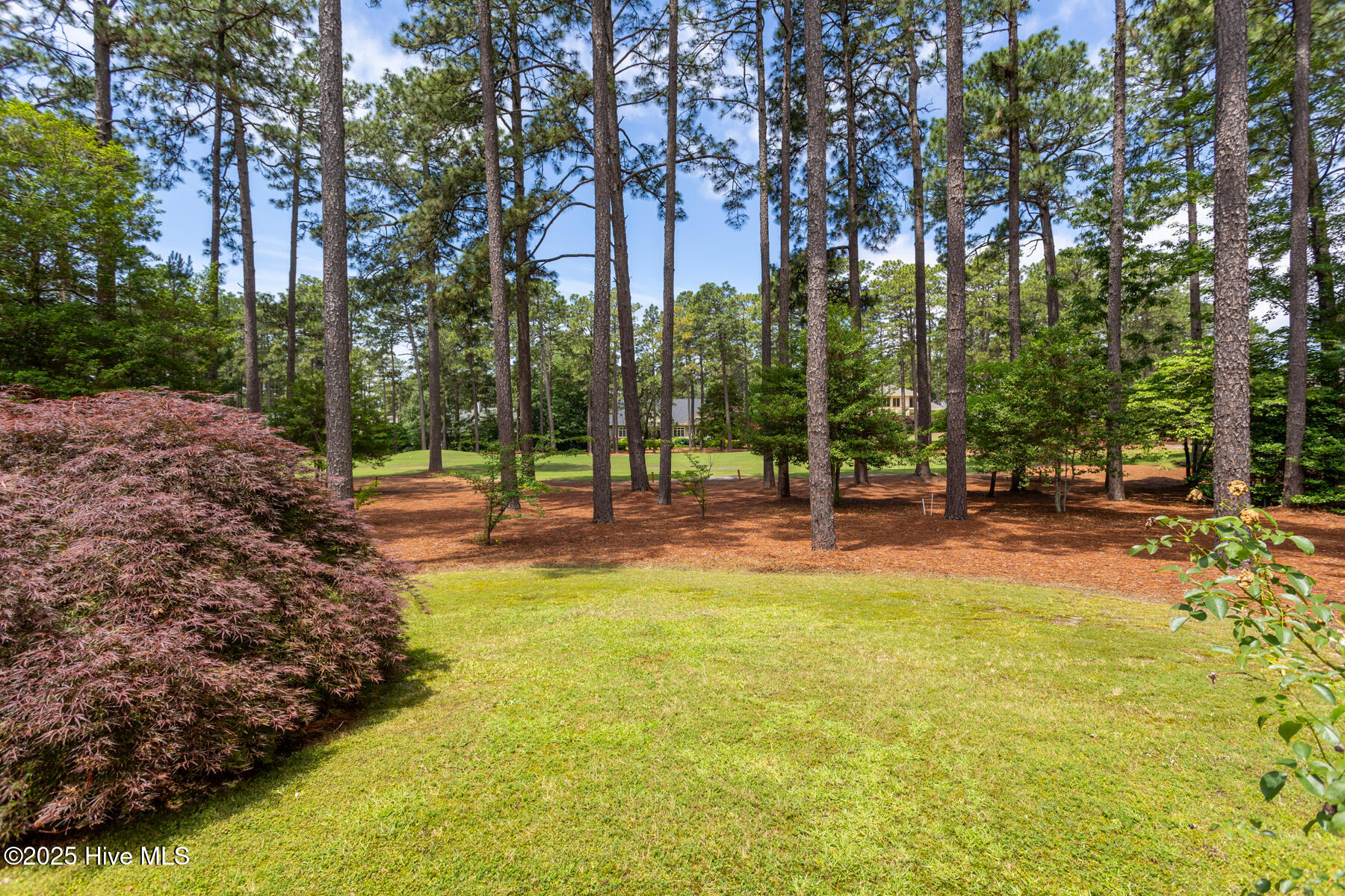 50 Prestonfield Drive