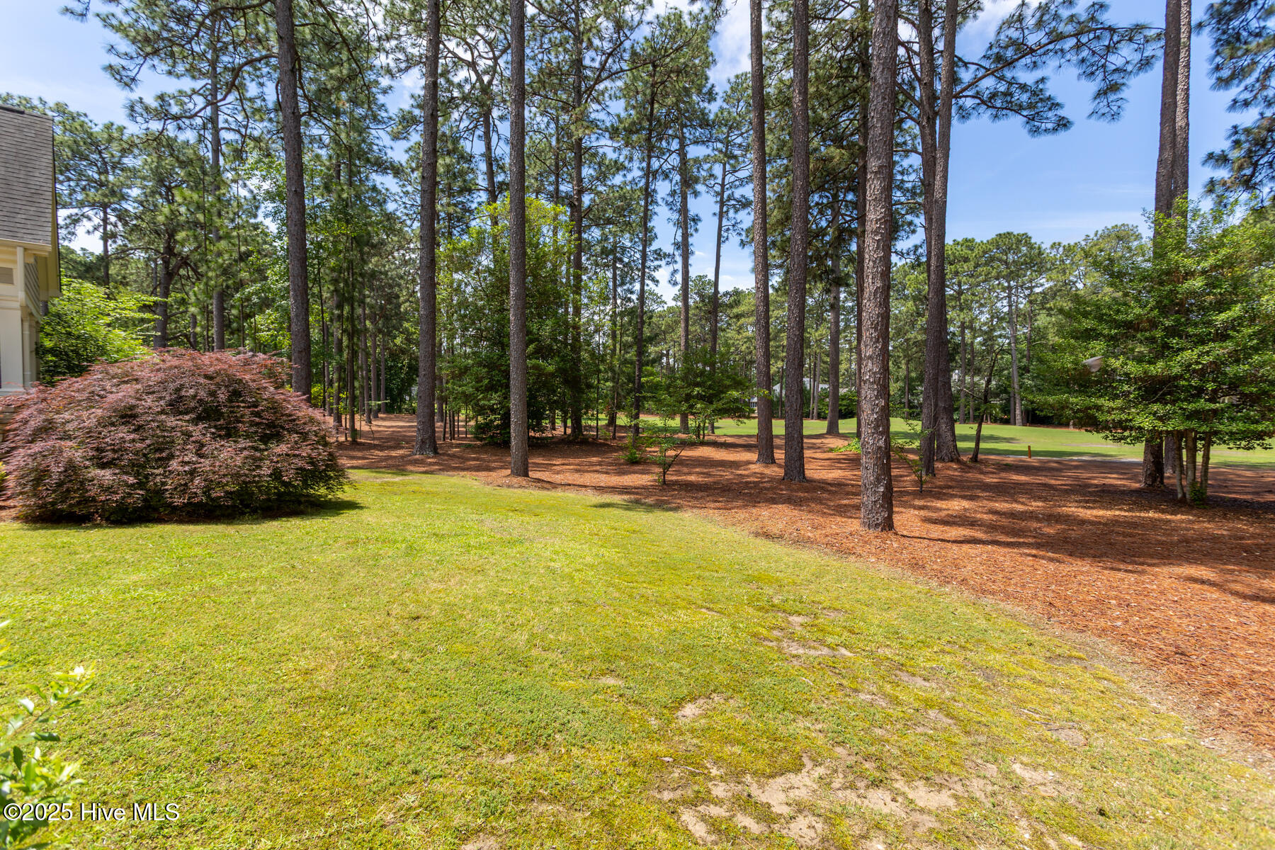 50 Prestonfield Drive