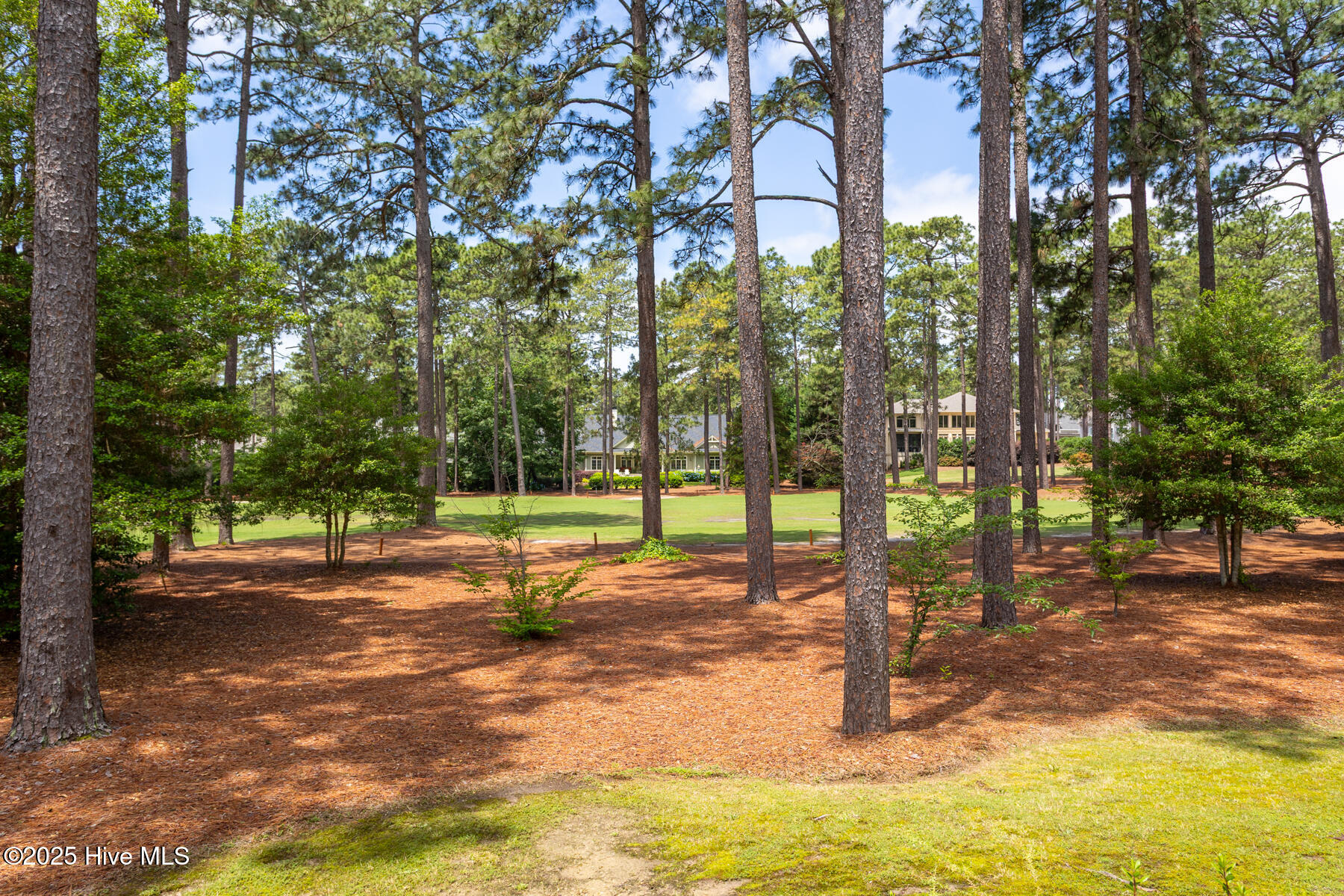 50 Prestonfield Drive