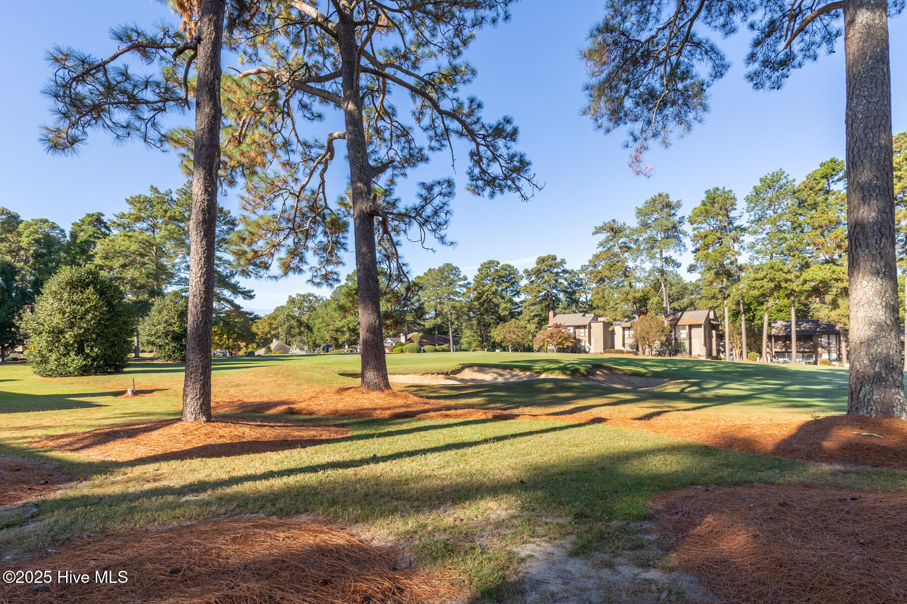 5 Pine Tree Road, 120