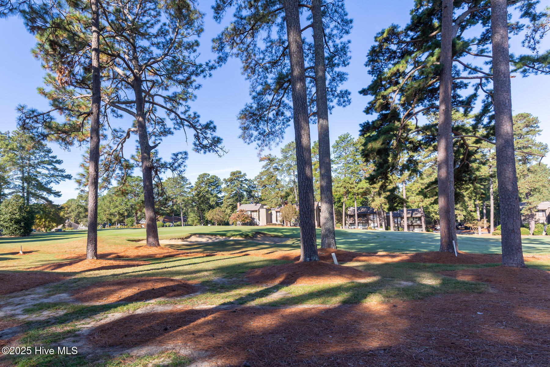 5 Pine Tree Road, 120