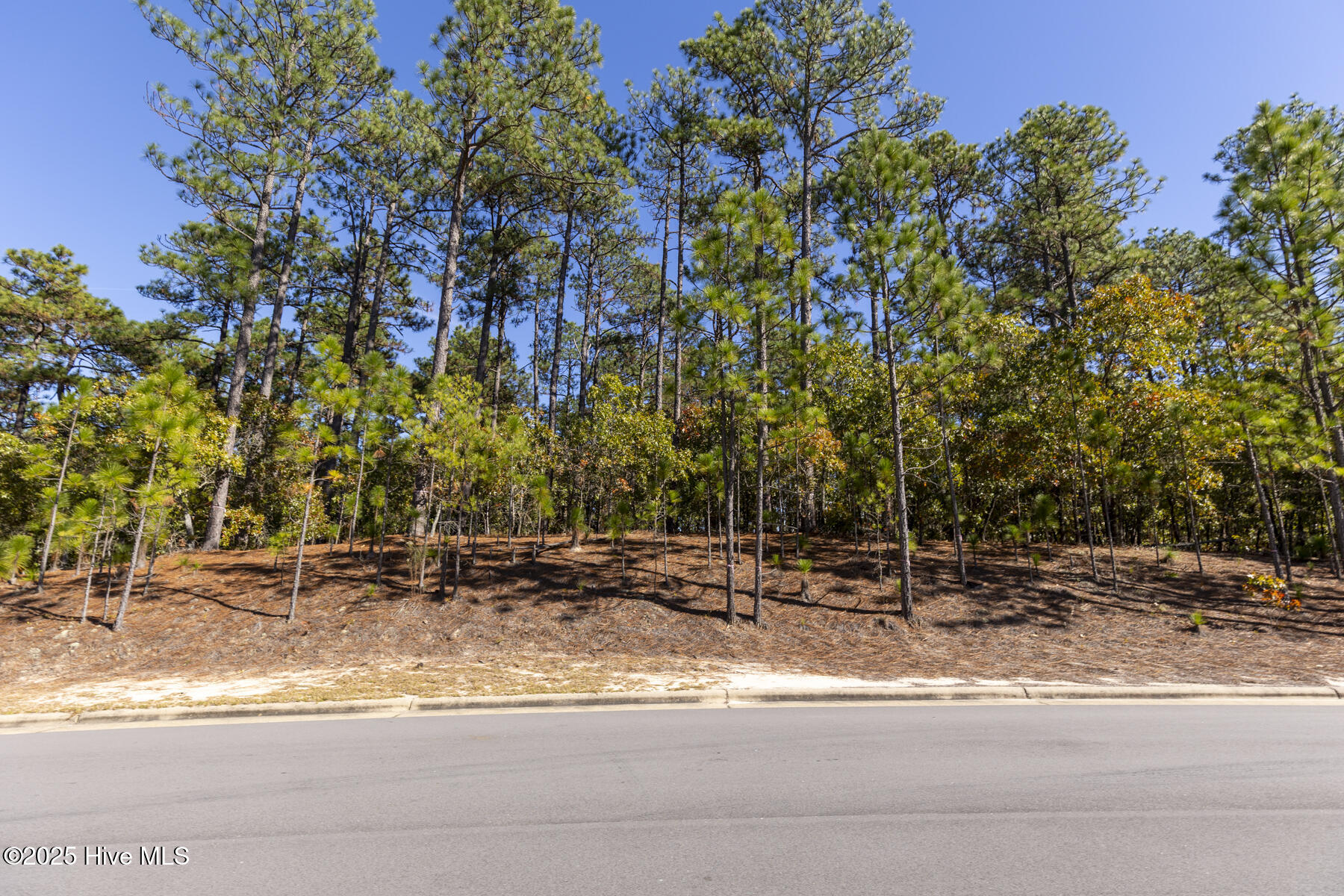 210 1002 Meyer Farm Drive, Pinehurst