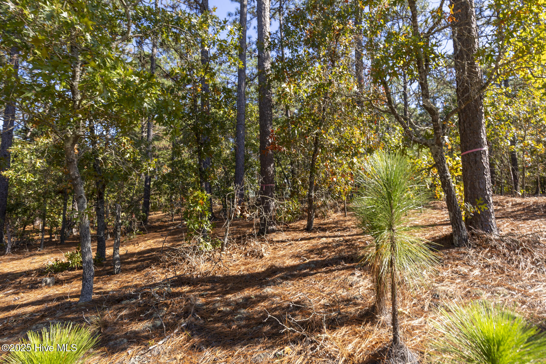 210 1002 Meyer Farm Drive, Pinehurst