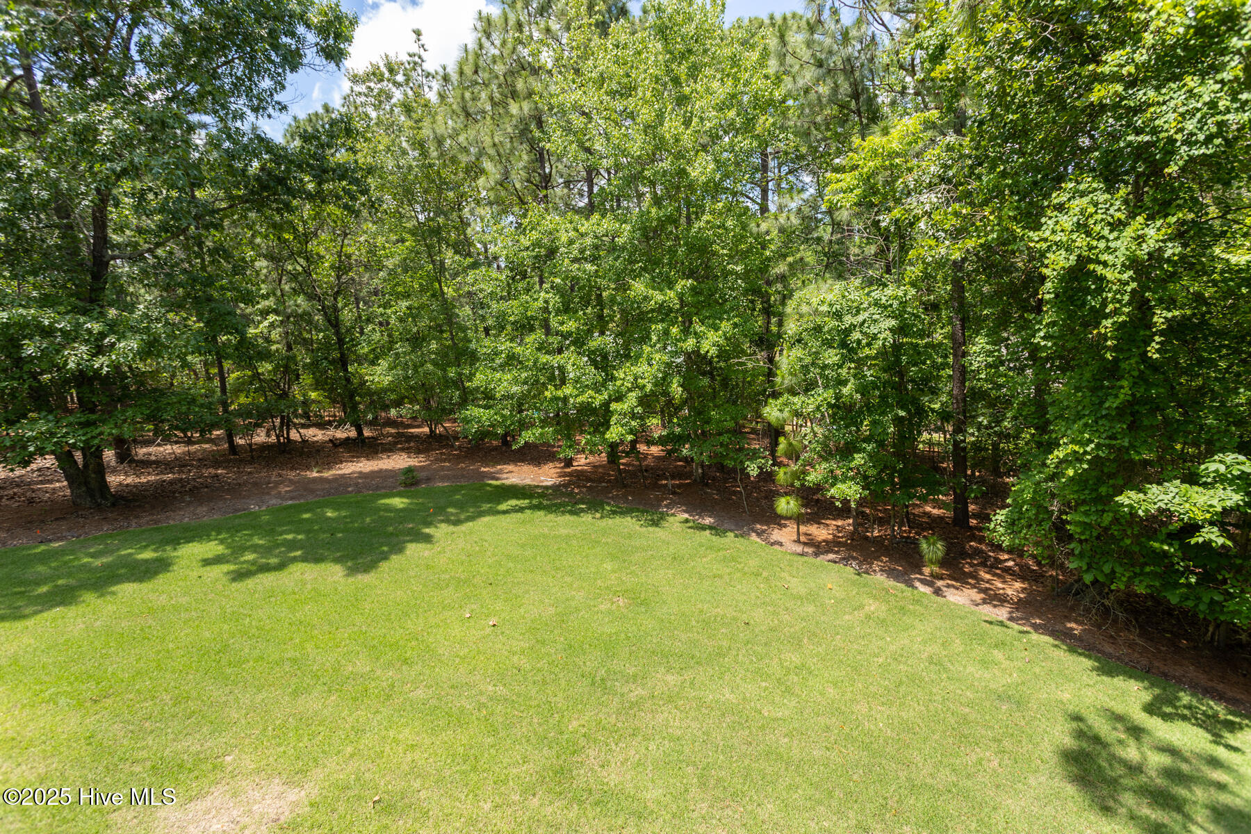113 Dubose Drive