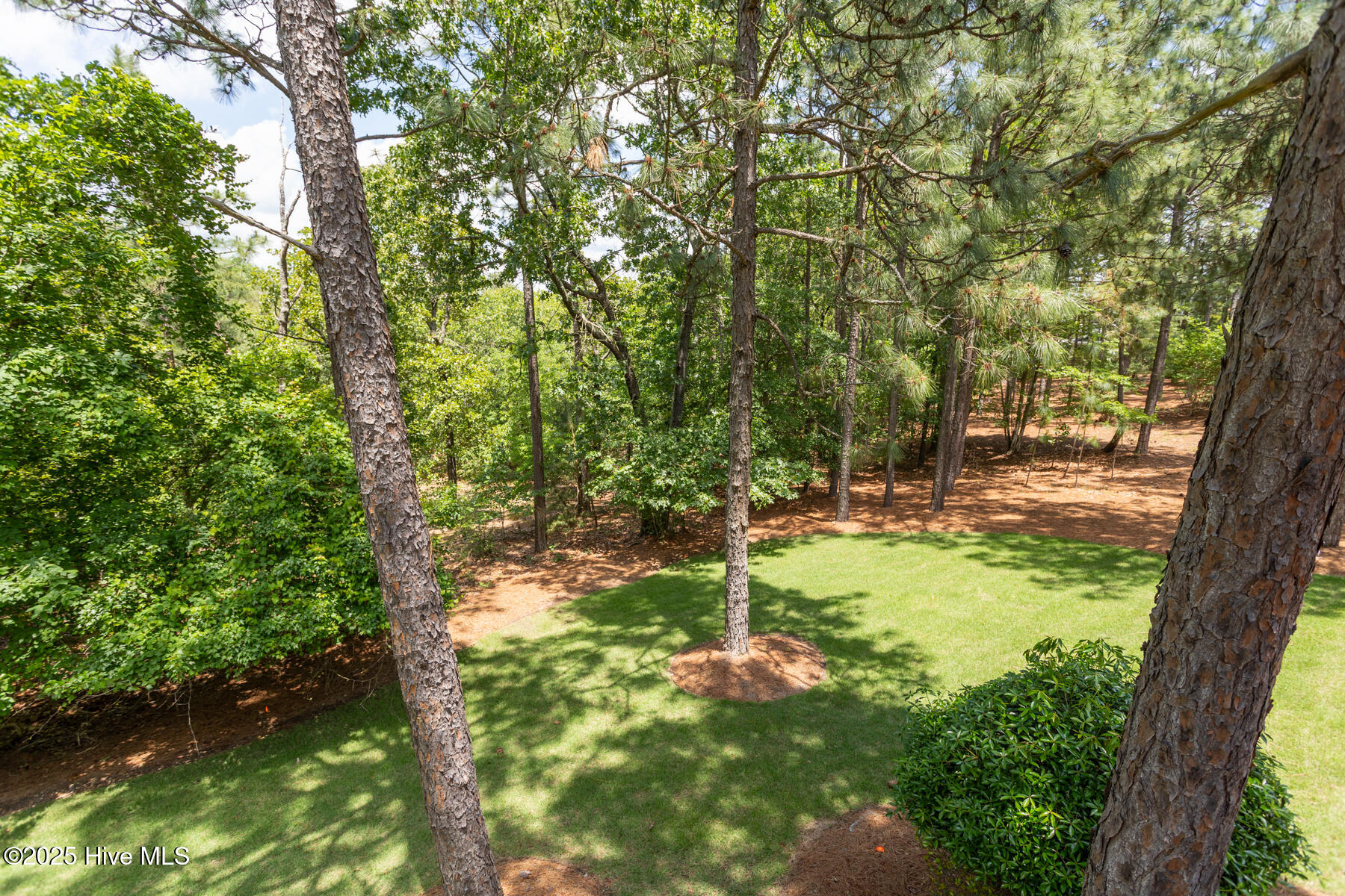 113 Dubose Drive