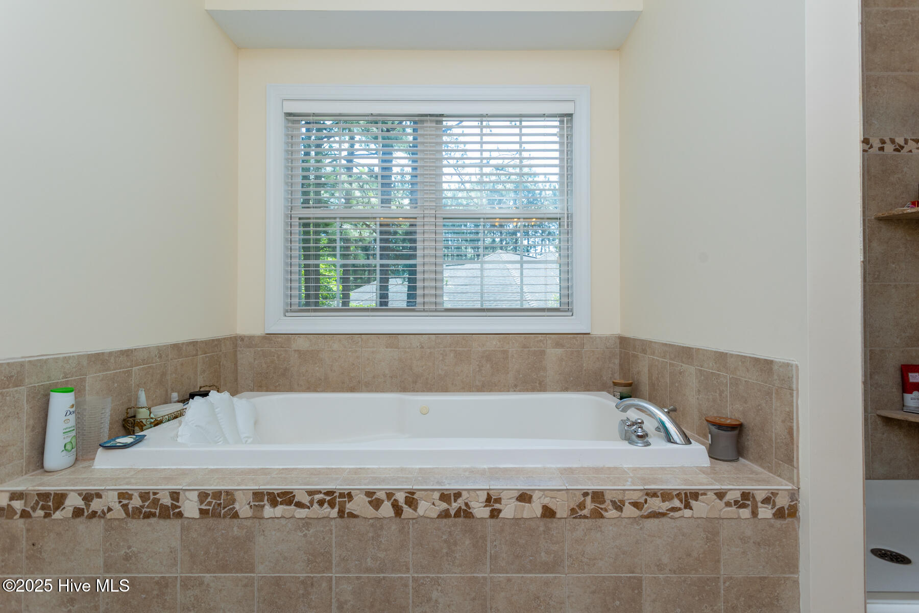 113 Dubose Drive