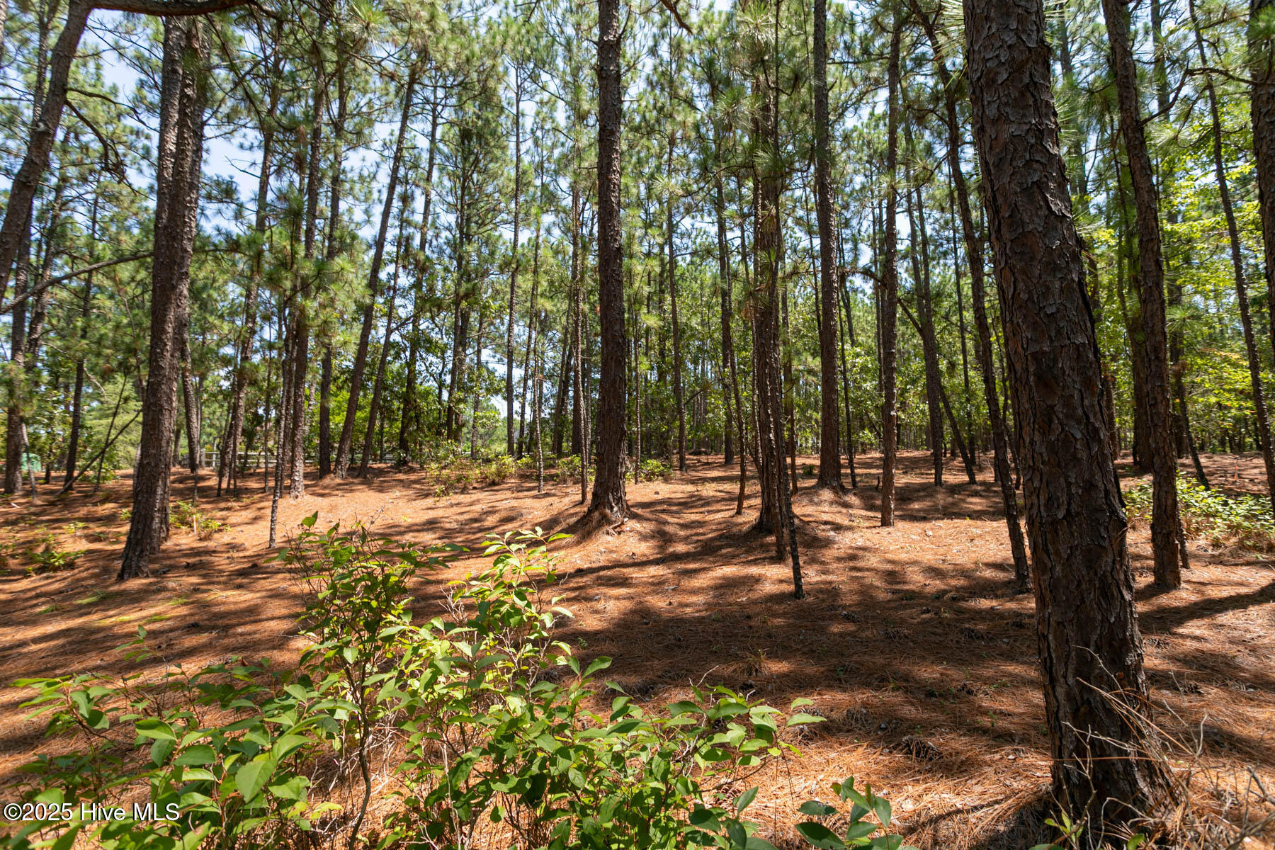 106 5669 Brendell Court