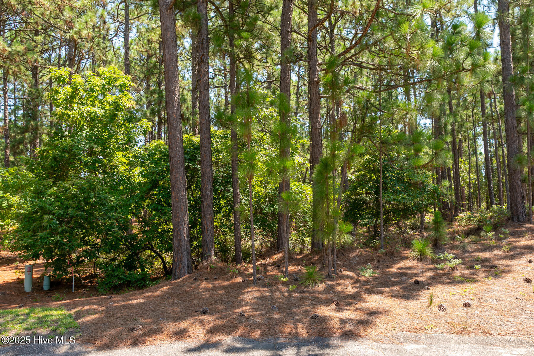 106 5669 Brendell Court