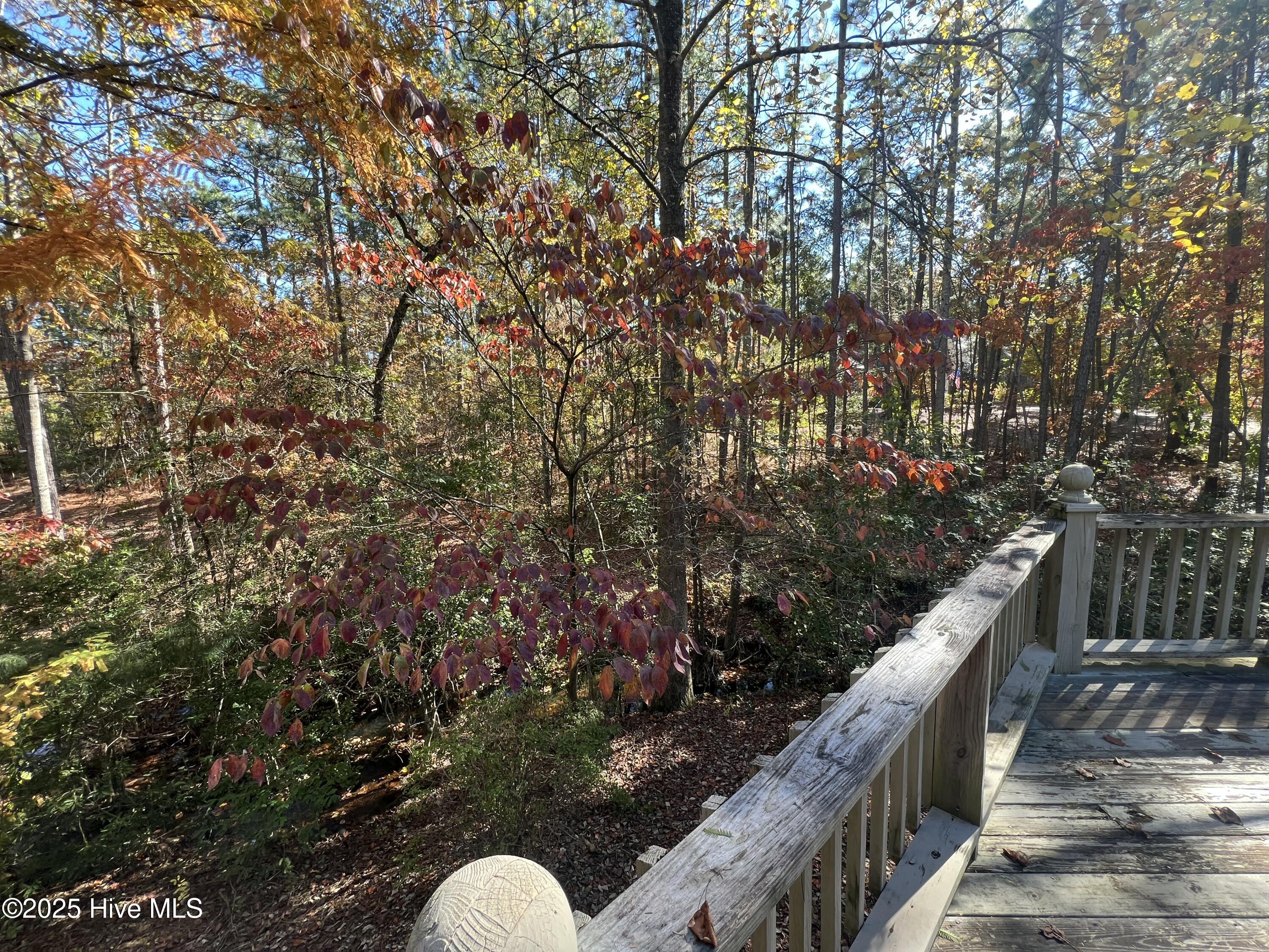 1030 Monticello Drive