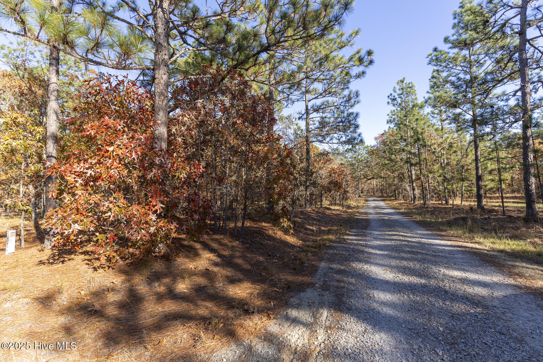 465 26 Roundabout Road