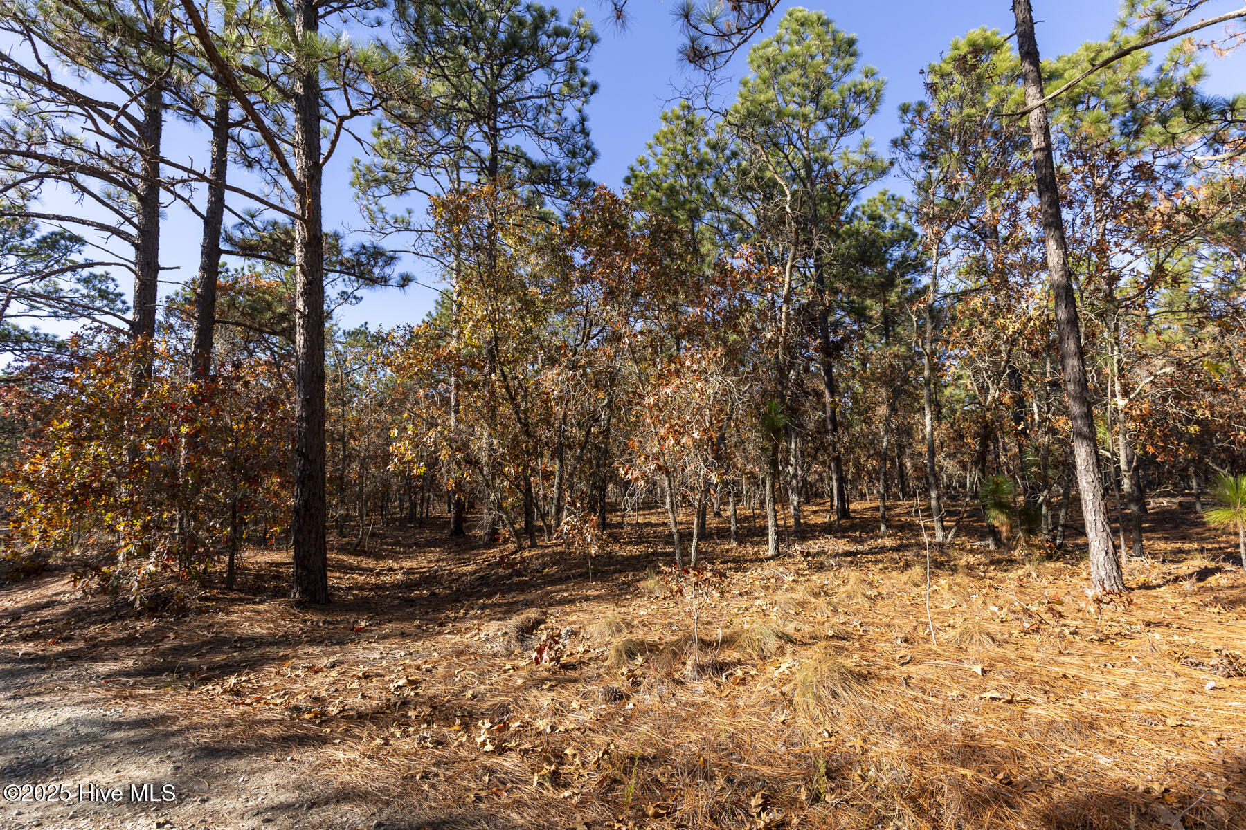 465 26 Roundabout Road