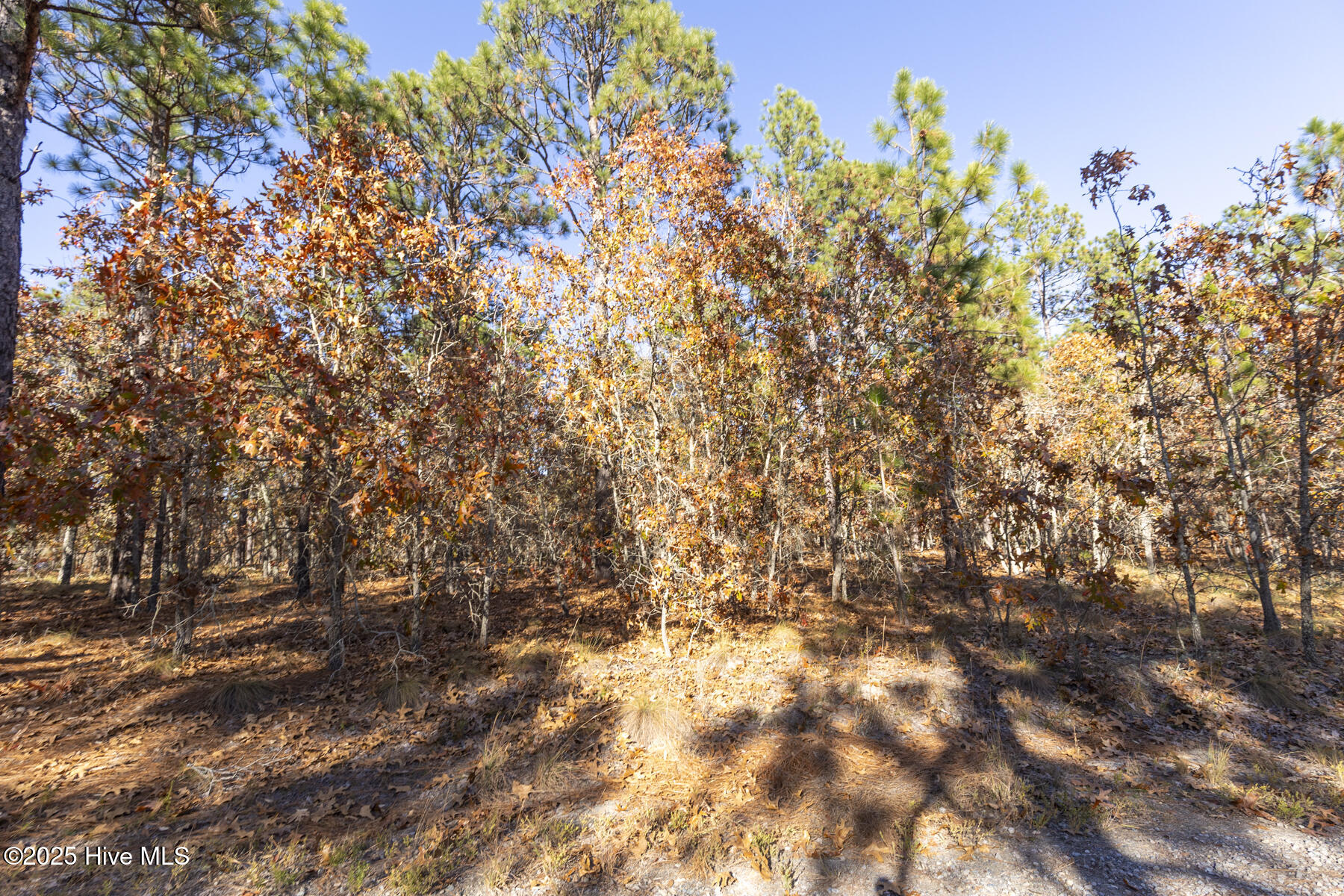 465 26 Roundabout Road