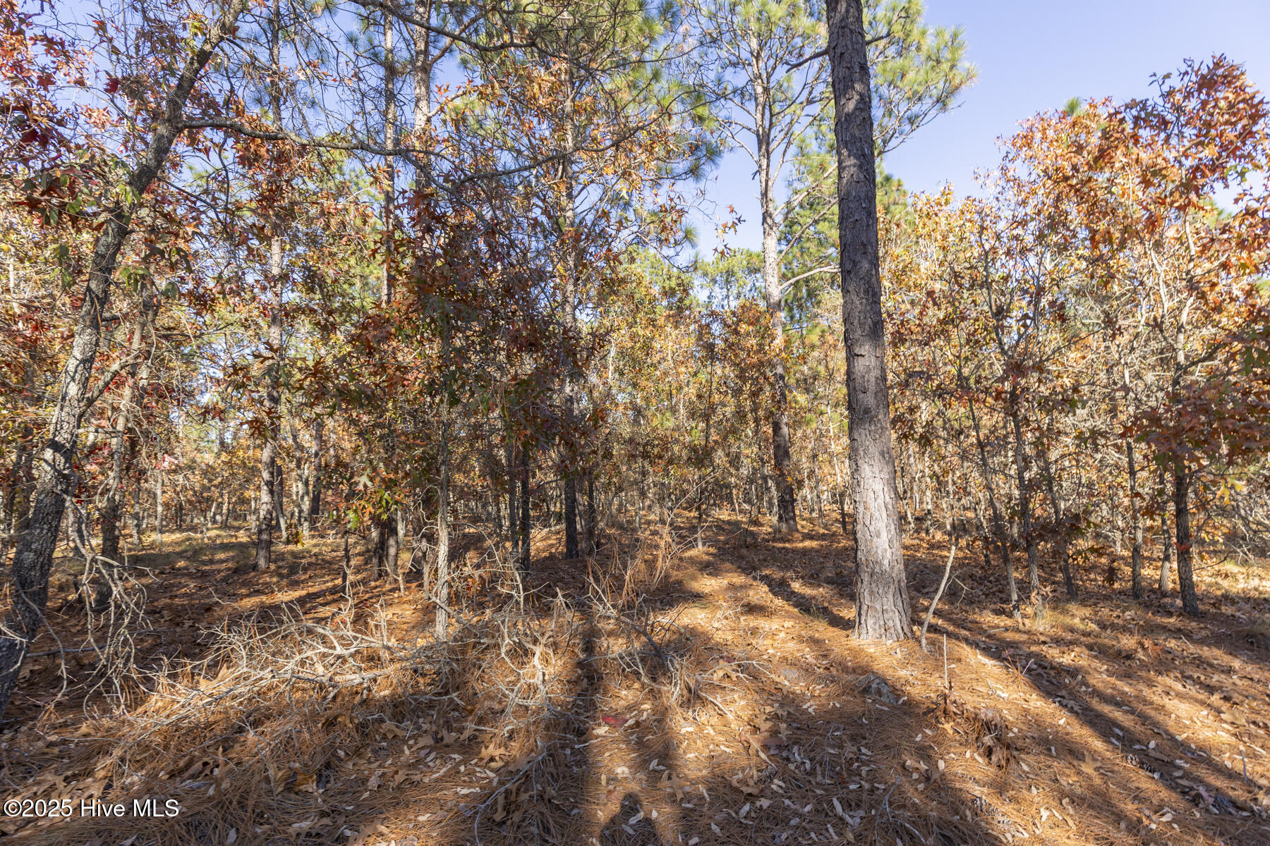 465 26 Roundabout Road