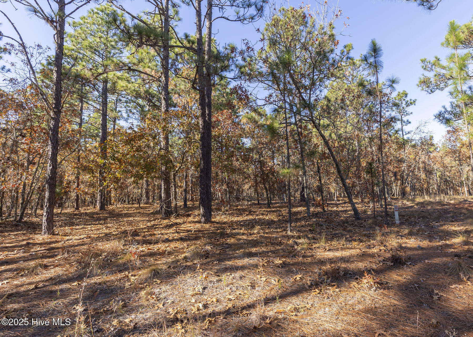 465 26 Roundabout Road