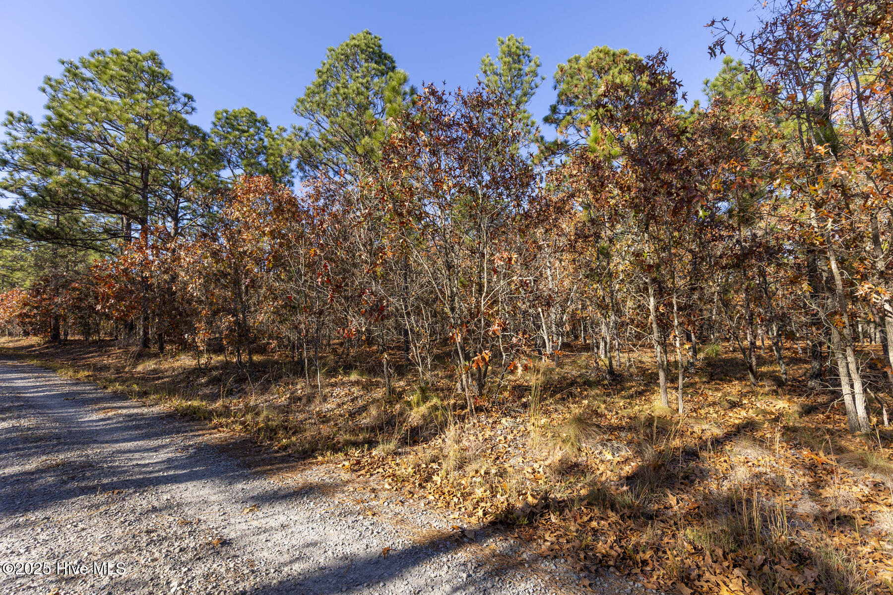 465 26 Roundabout Road