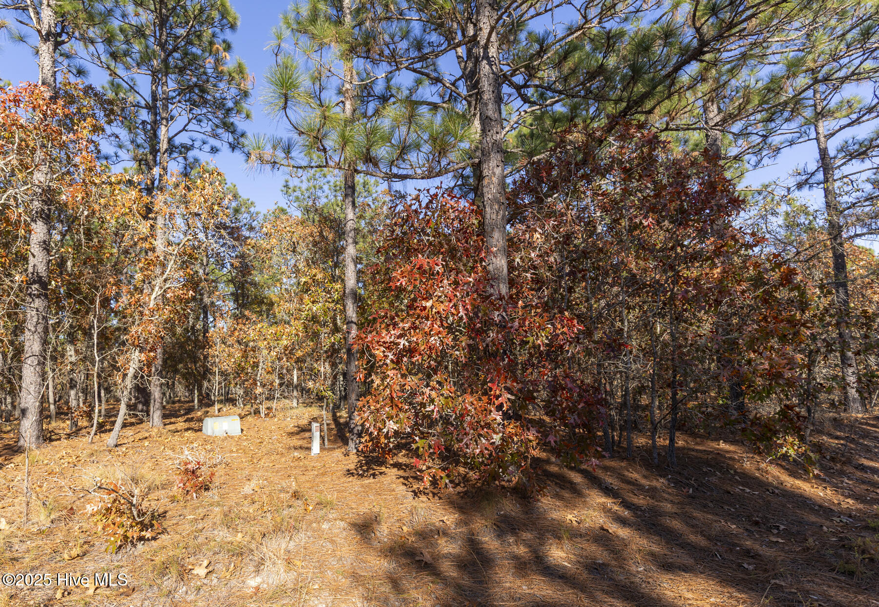 465 26 Roundabout Road