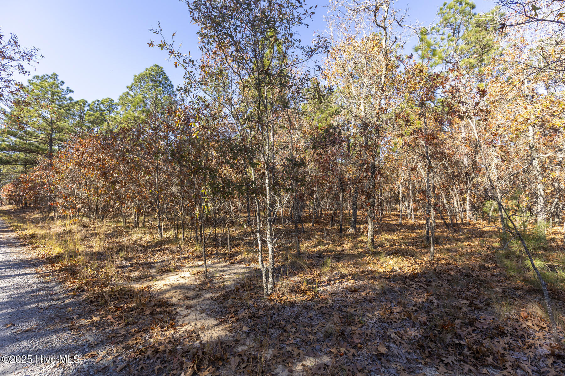 465 26 Roundabout Road