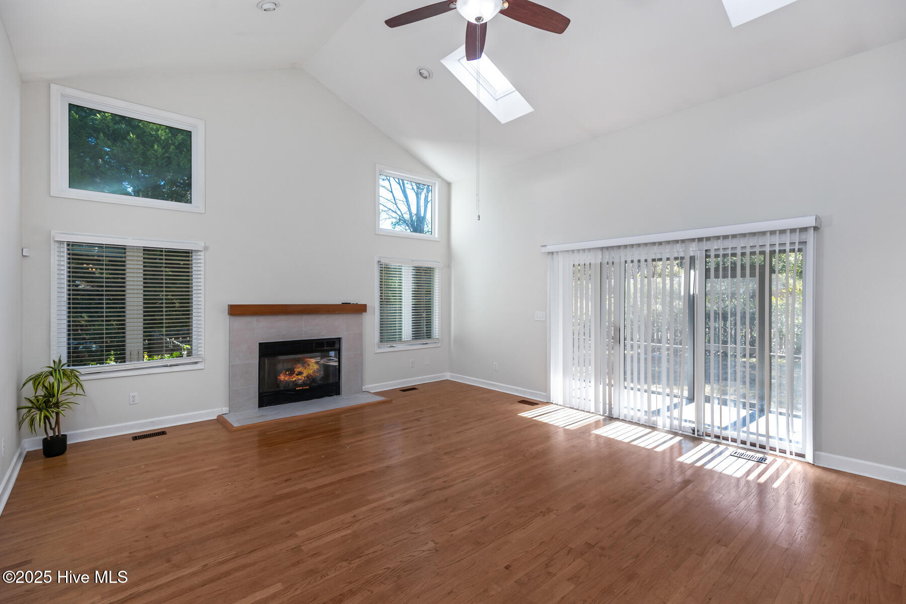 6 Halter Place