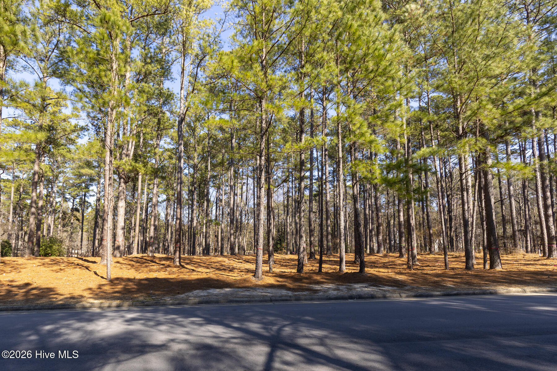 214 919 Meyer Farm Drive