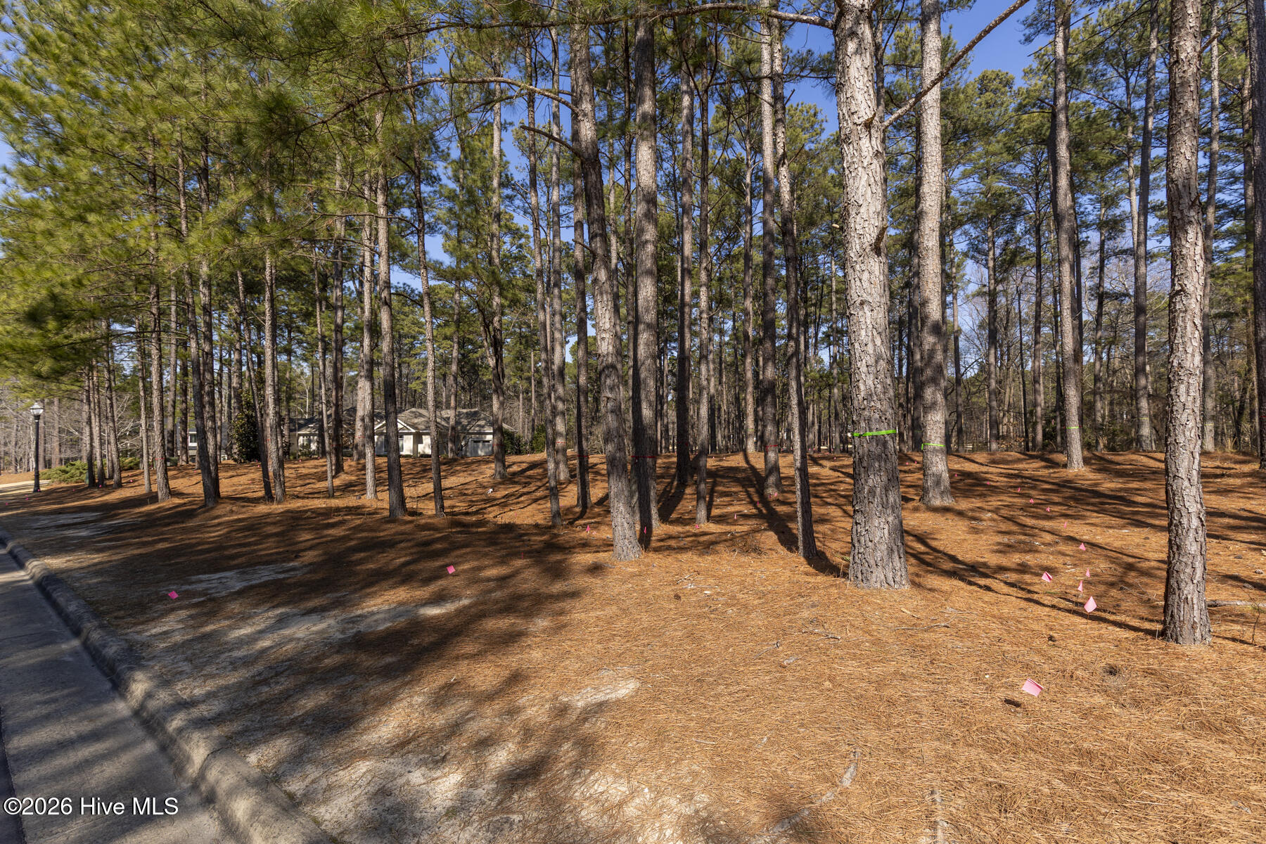 214 919 Meyer Farm Drive