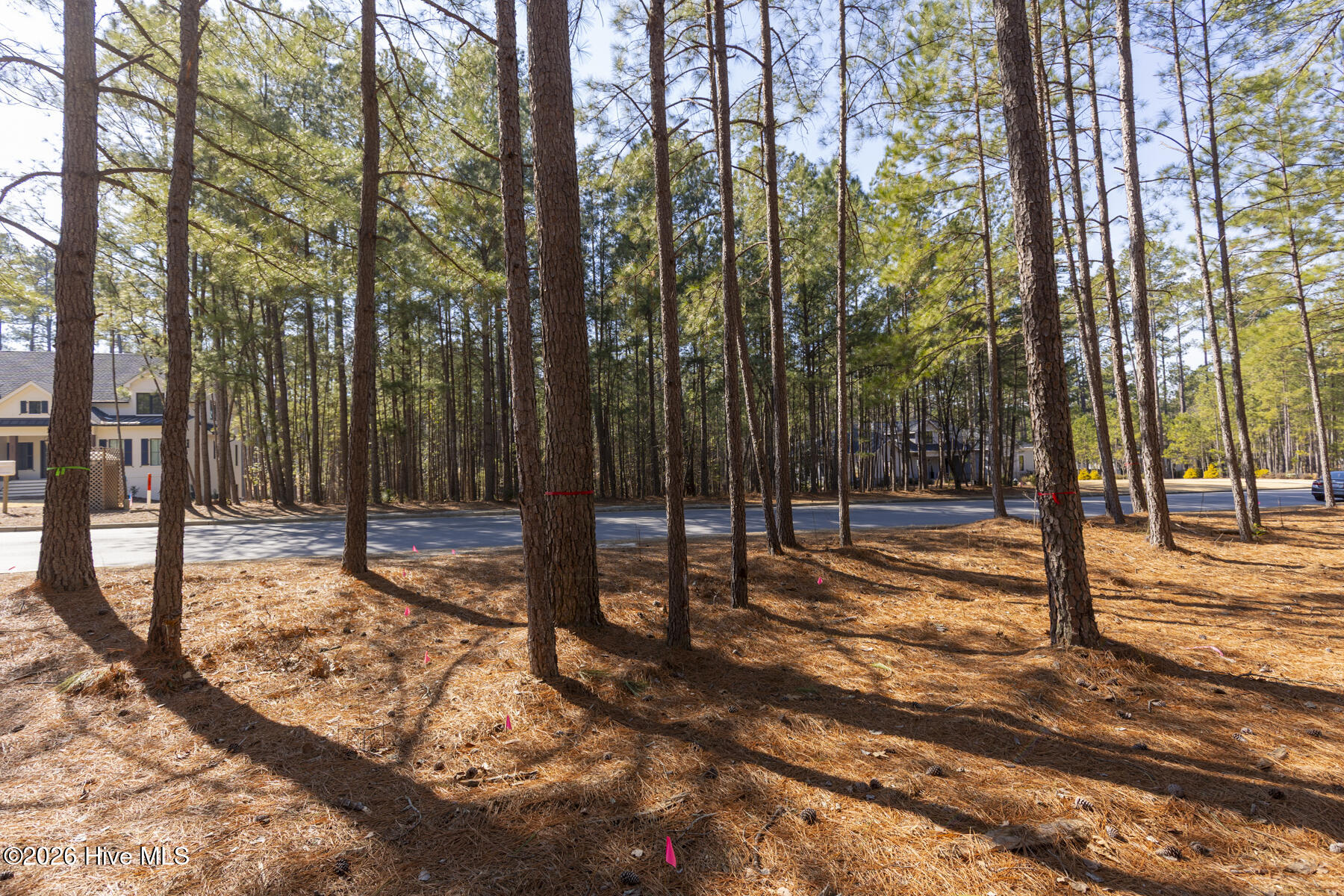 214 919 Meyer Farm Drive