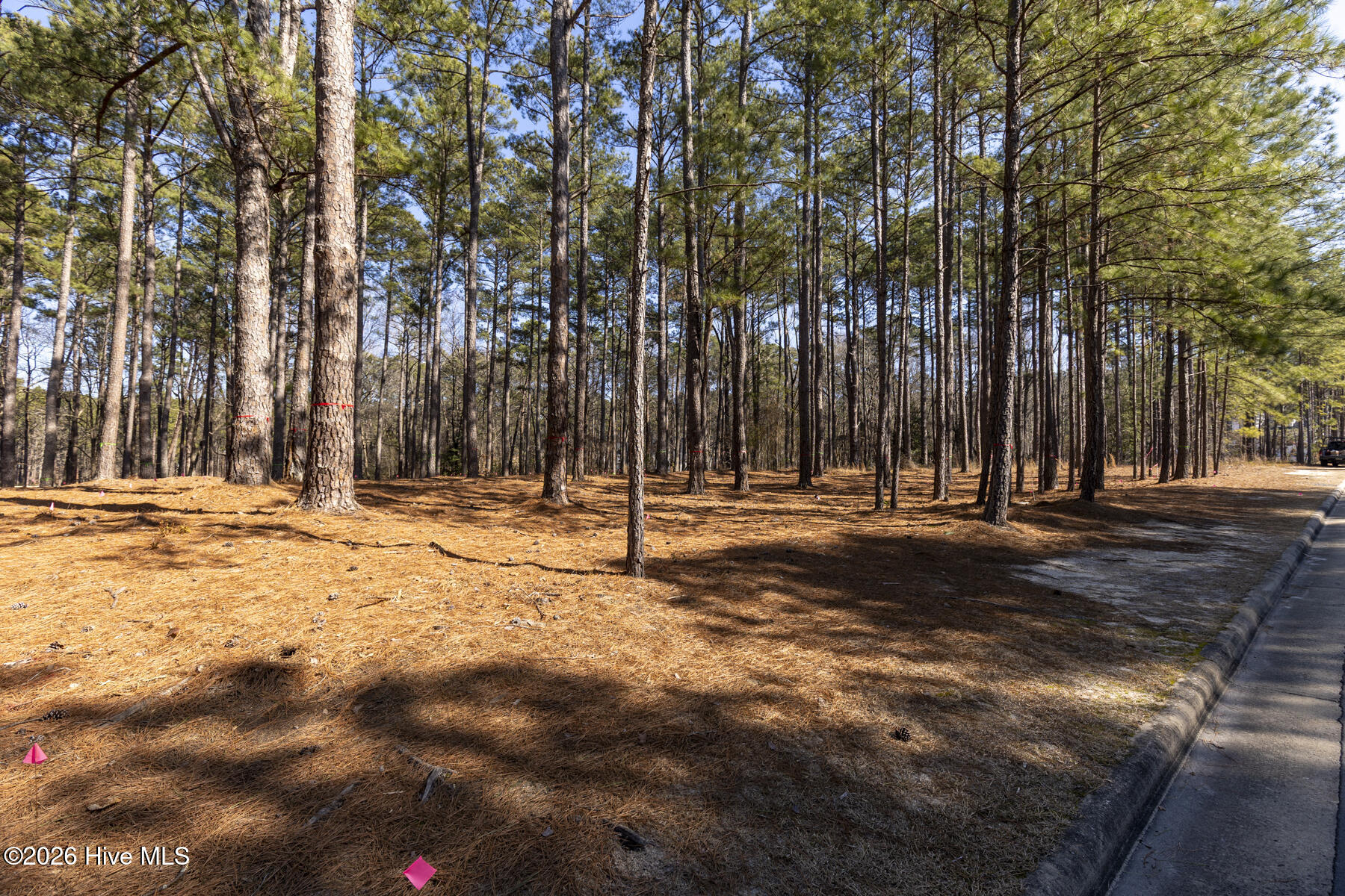 214 919 Meyer Farm Drive