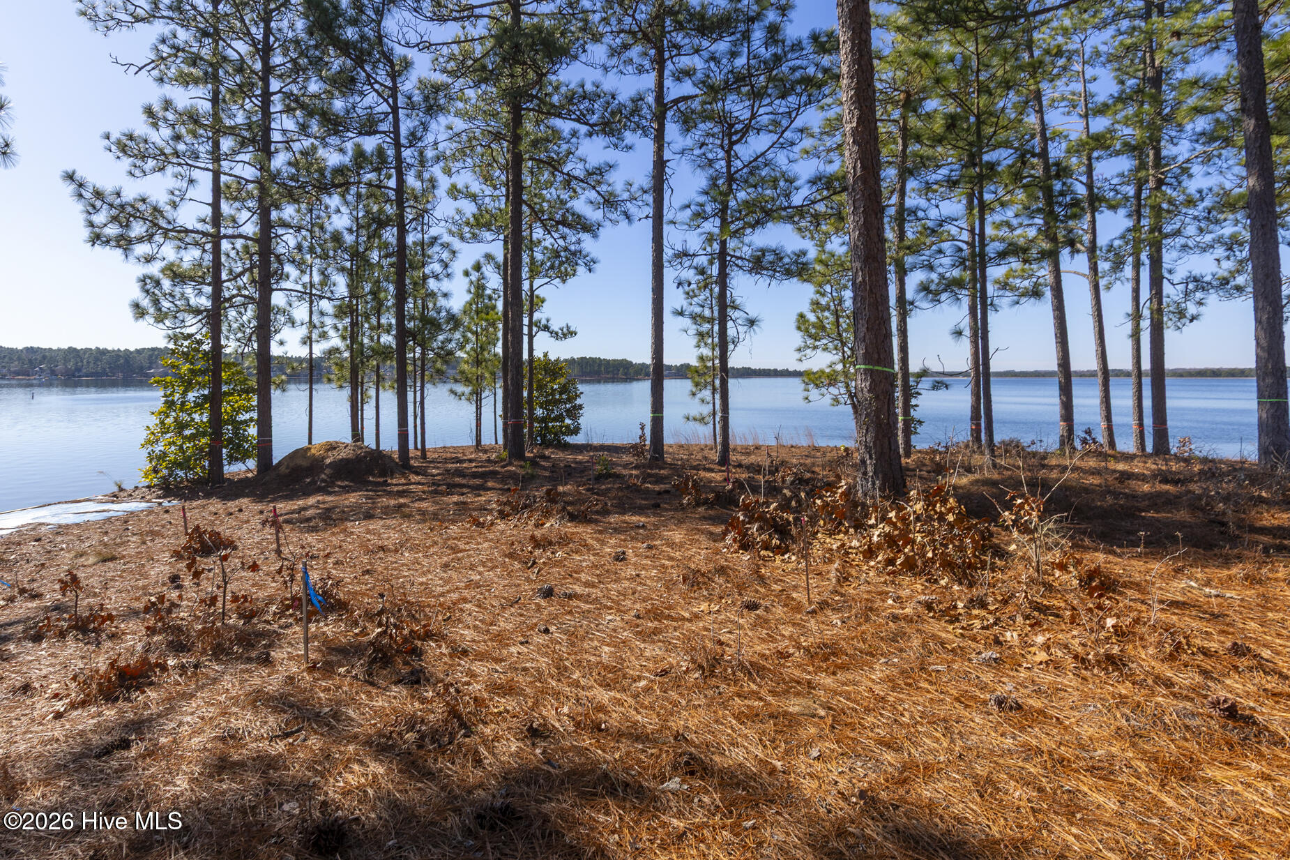 105 3270 Mace Point