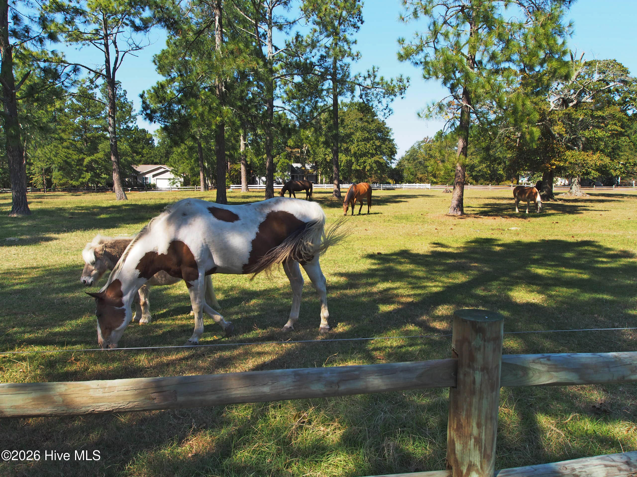 112 Shady Wood Court