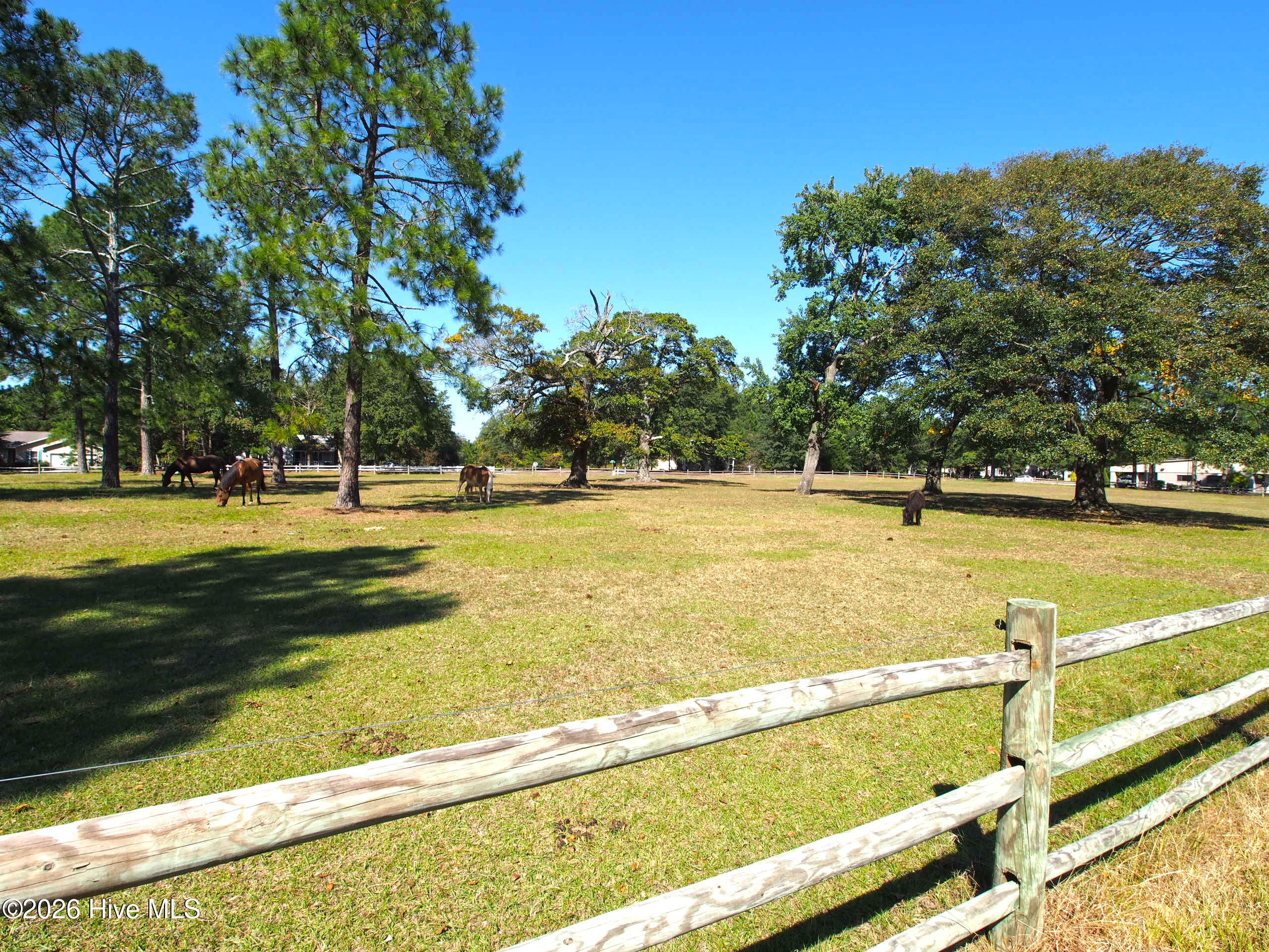 112 Shady Wood Court